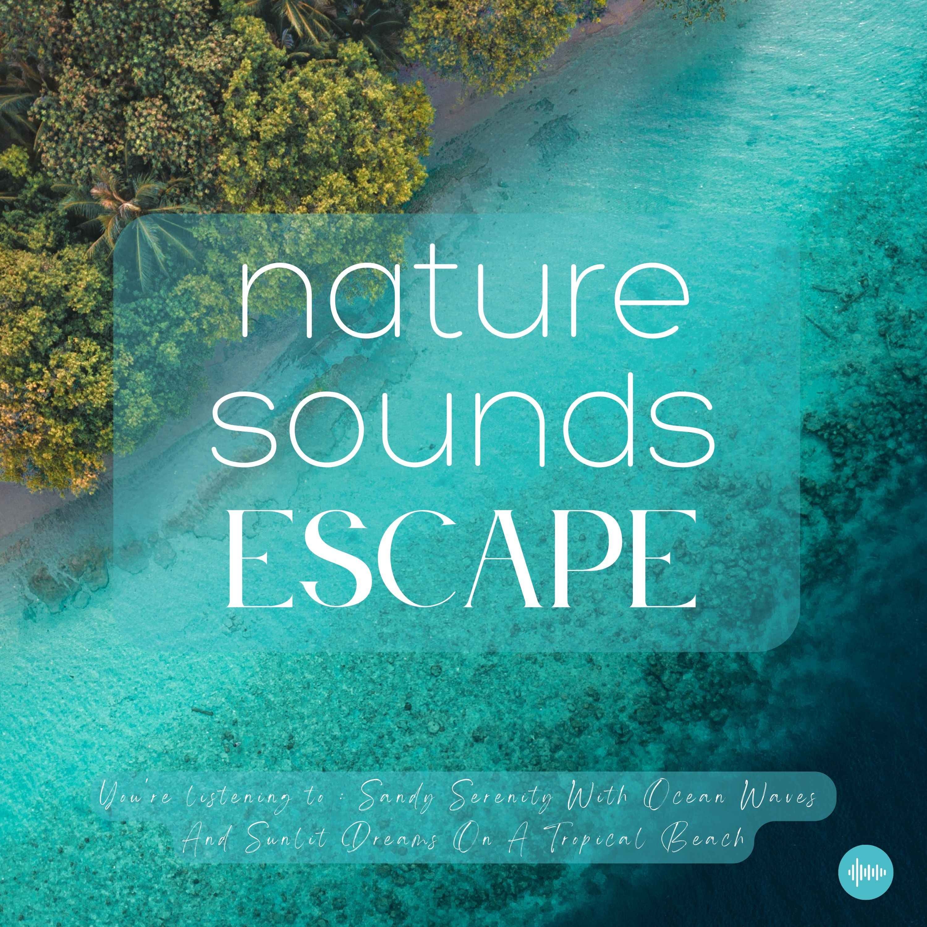 Sandy Serenity With Ocean Waves And Sunlit Dreams On A Tropical Beach | Nature Sounds For Sleep, Meditation, Relaxation, Study Or Focus | Sleep Sounds, Sleep Fast, Insomnia, Ocean Sounds, Beach, Storm, Rain, Zen, White Noise For Sleep, Musique Pour Dormir