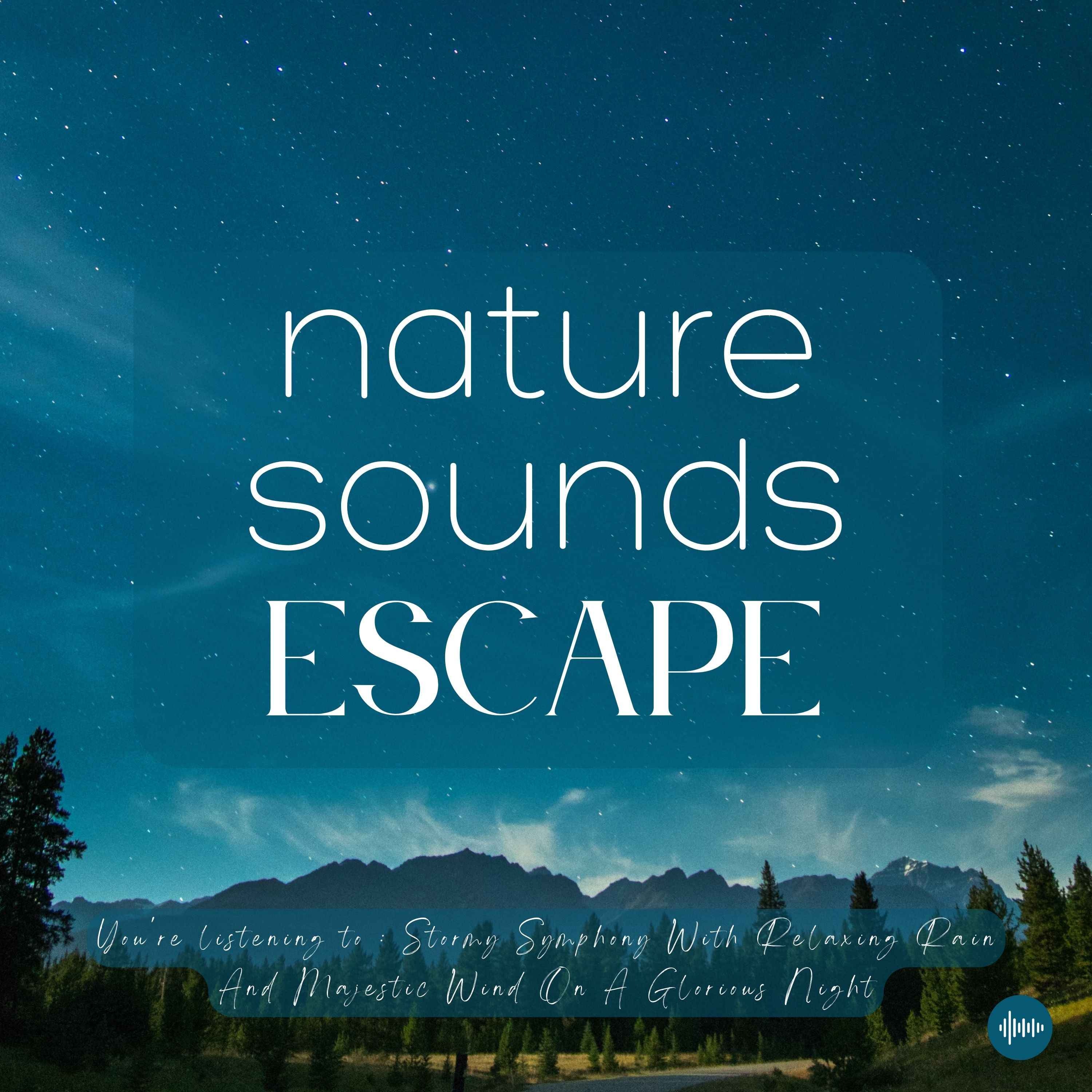 Stormy Symphony With Relaxing Rain & Majestic Wind On A Peaceful Night | Nature Sounds For Sleep, Meditation, Relaxation, Study Or Focus | Sleep Sounds, Sleep Fast, Nature Music For Sleep, Insomnia, Rain Sounds, Gentle Rainstorm, Raindrops, White Noise