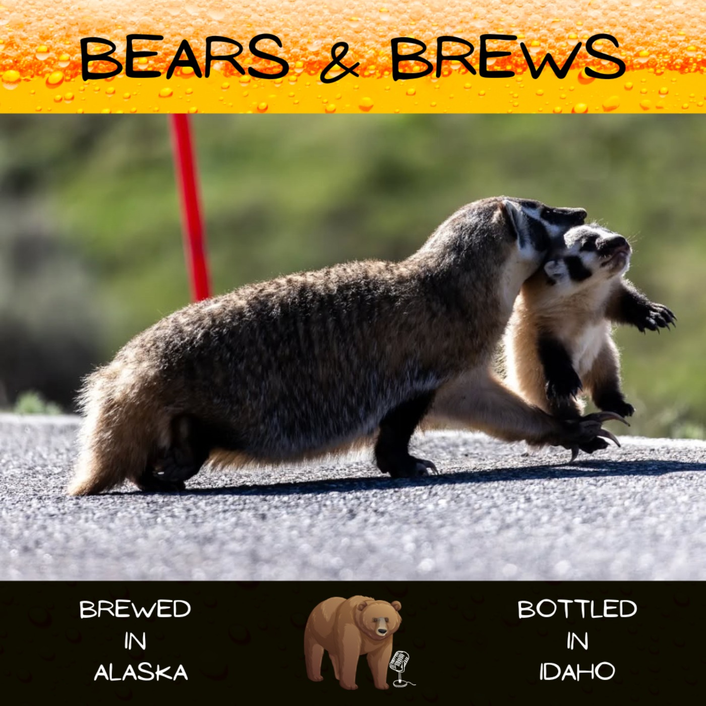 Season 2 Episode 2: A Buddy Cop Movie