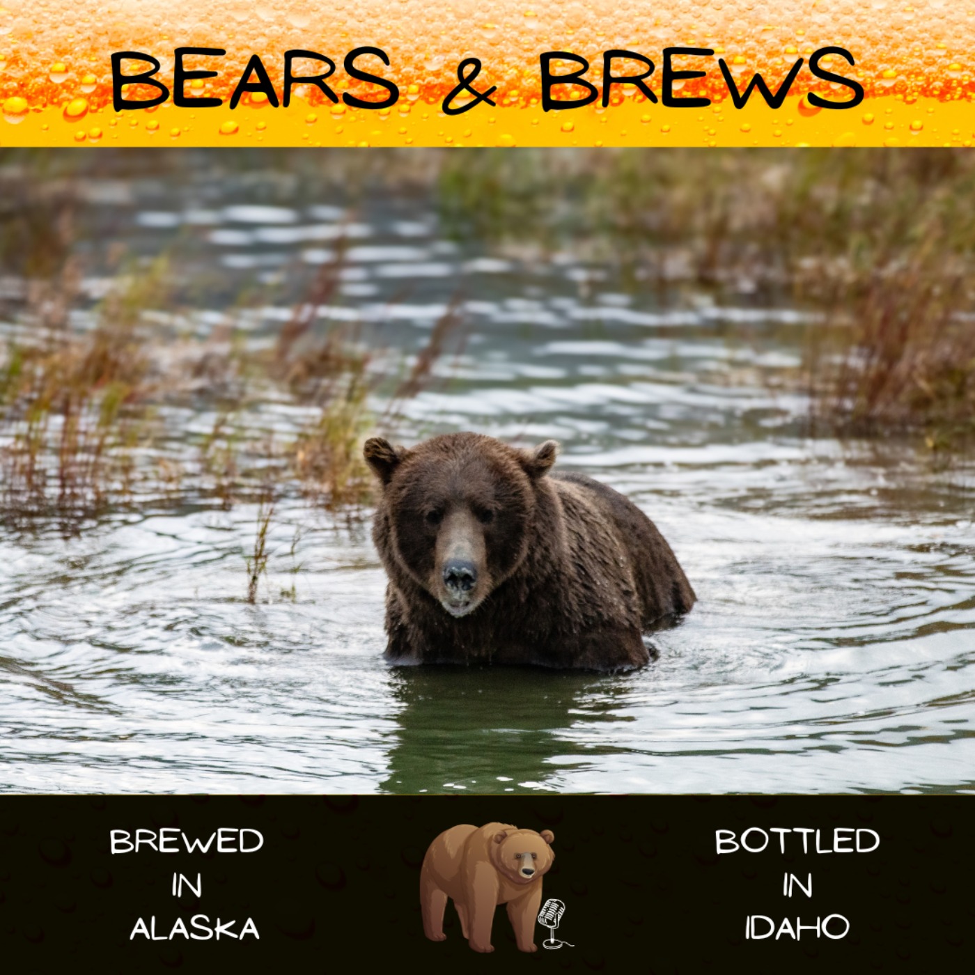 Season 2 Microbruin 1: Swimming in Grizzly Bears