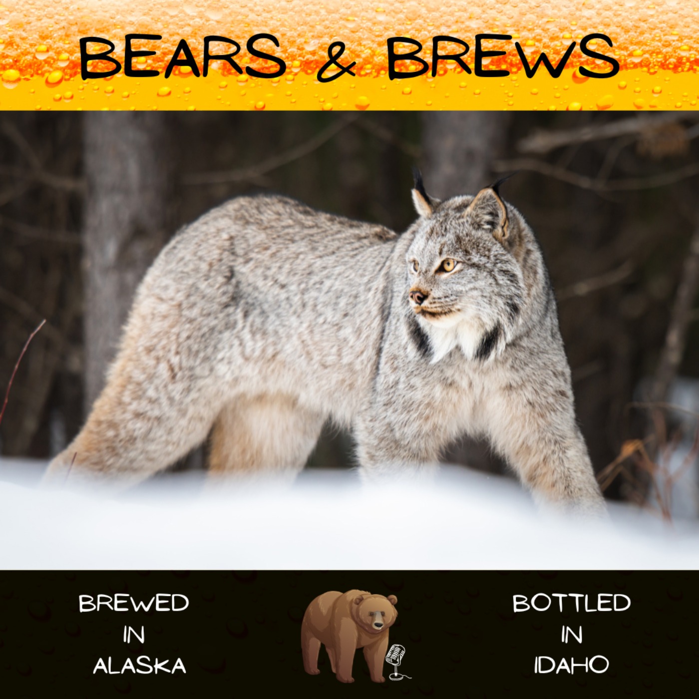 Bears and Brews