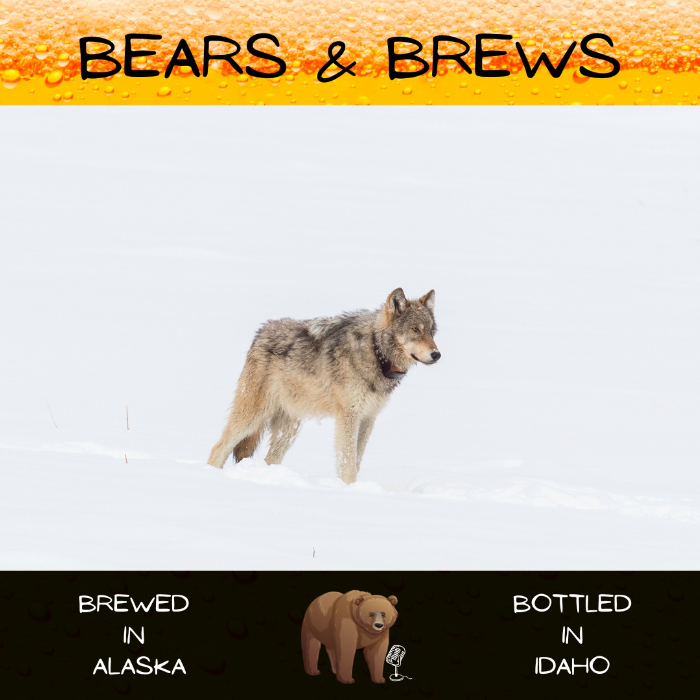 Season 2 Microbruin 3: A Game of Thrones Situation