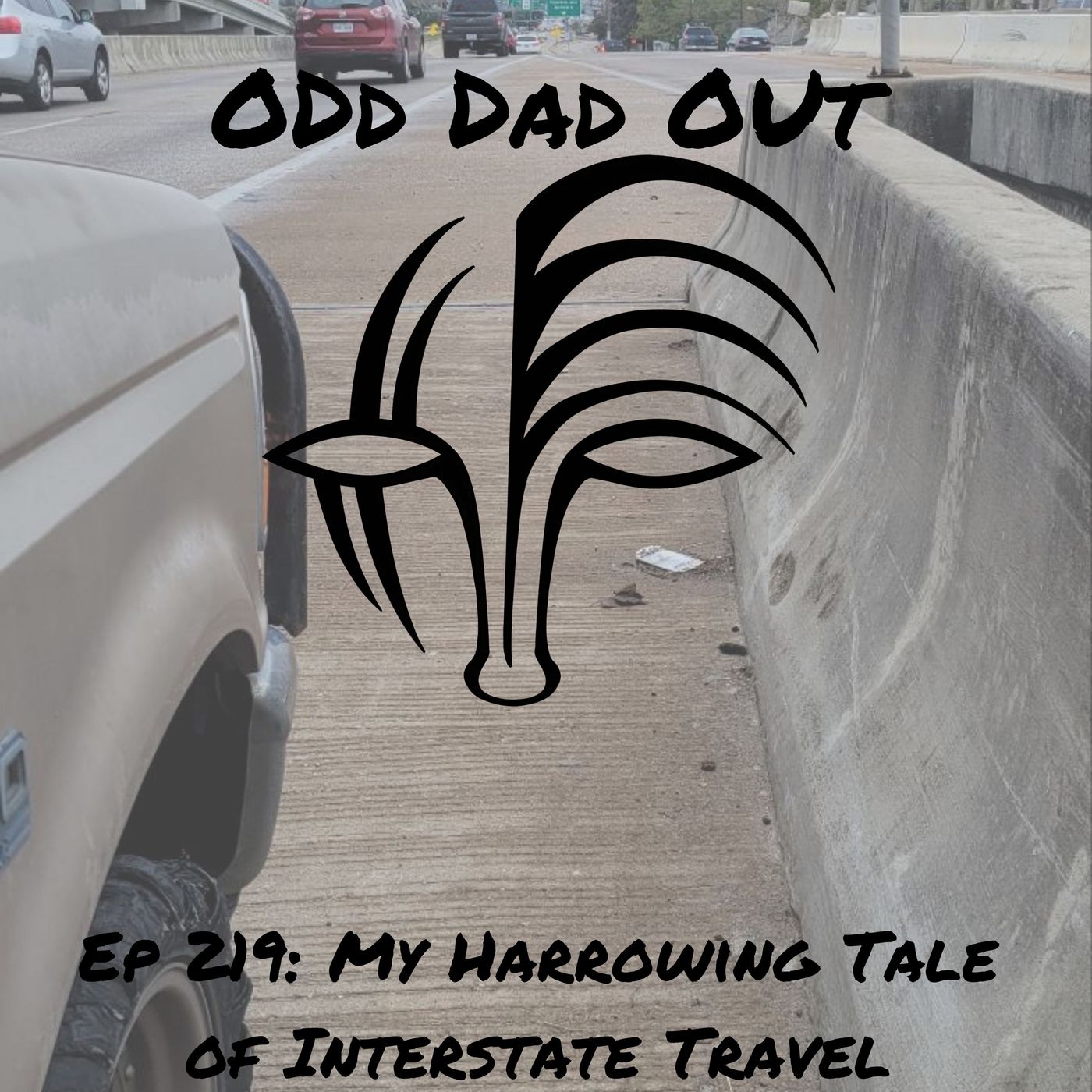 My Harrowing Tale Of Interstate Travel: ODO 219