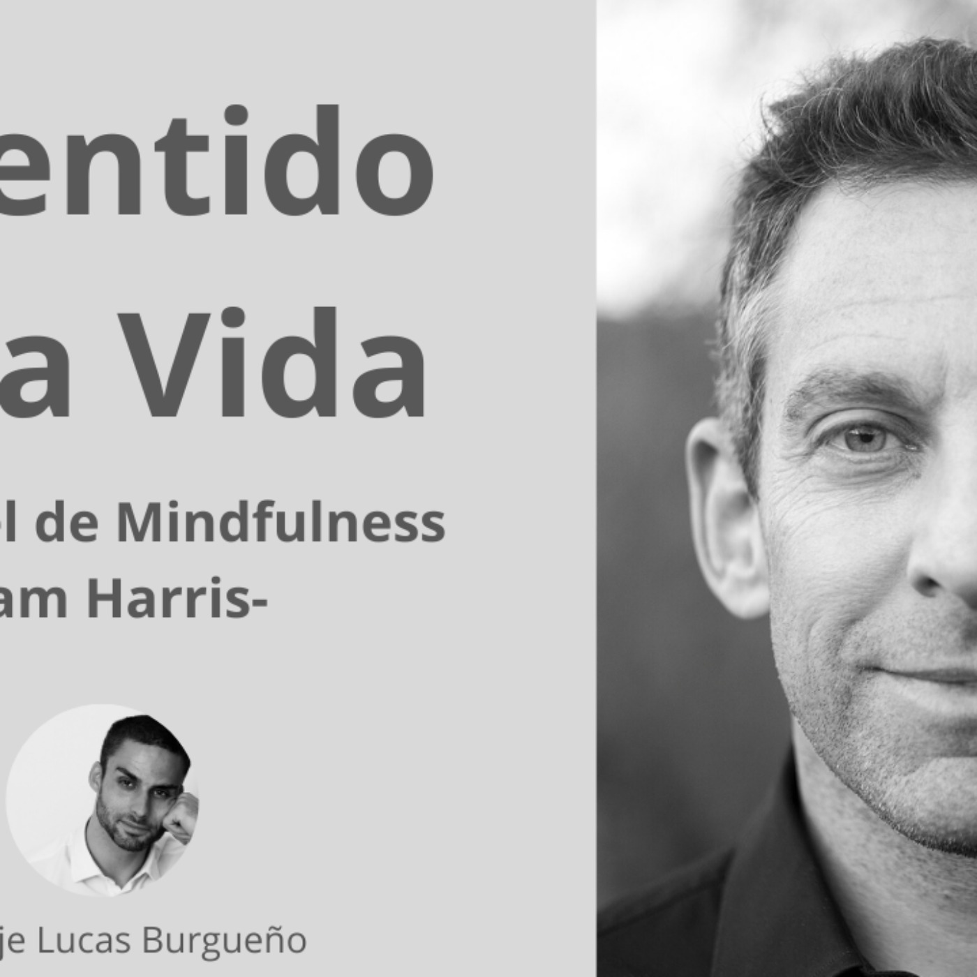 #168 El Sentido de la Vida y Mindfulness - Sam Harris en español doblaje Lucas Burgueño episode artwork