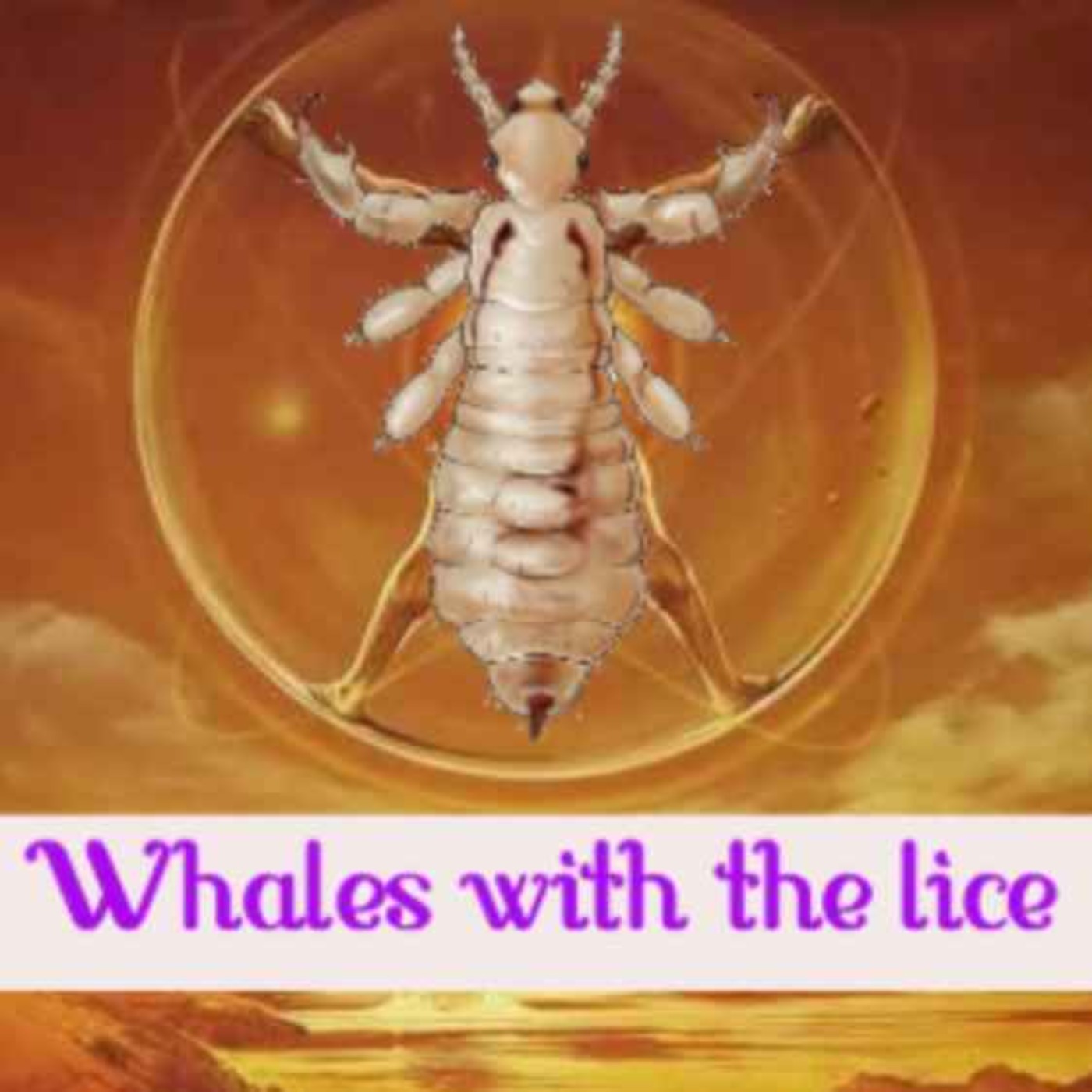 Dune It Well