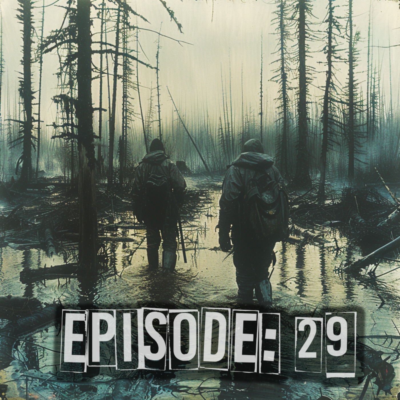 Bear Bait Blunders and Mishaps