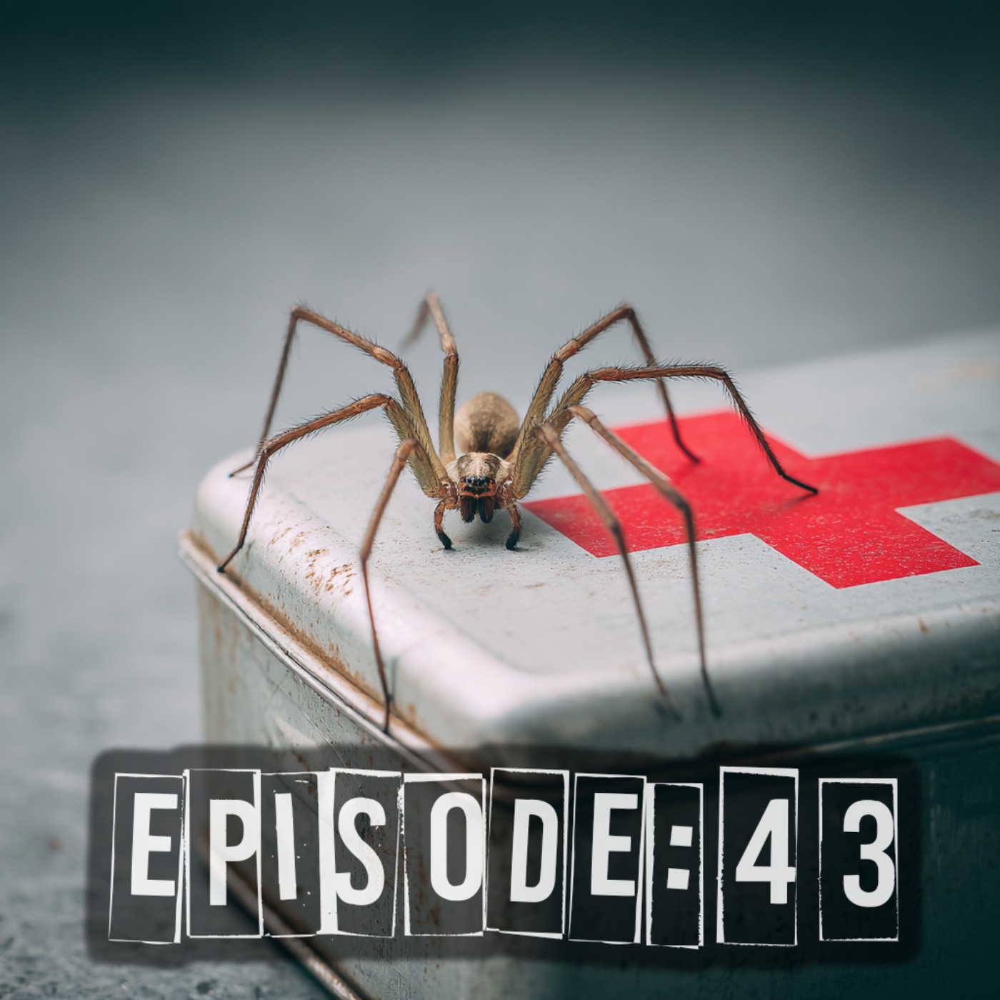 Spider Bite