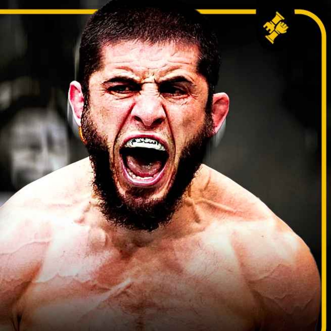 Islam Makhachev TROP FORT | Merab Dvalishvili est une MACHINE - UFC 311 Récap XXL episode artwork