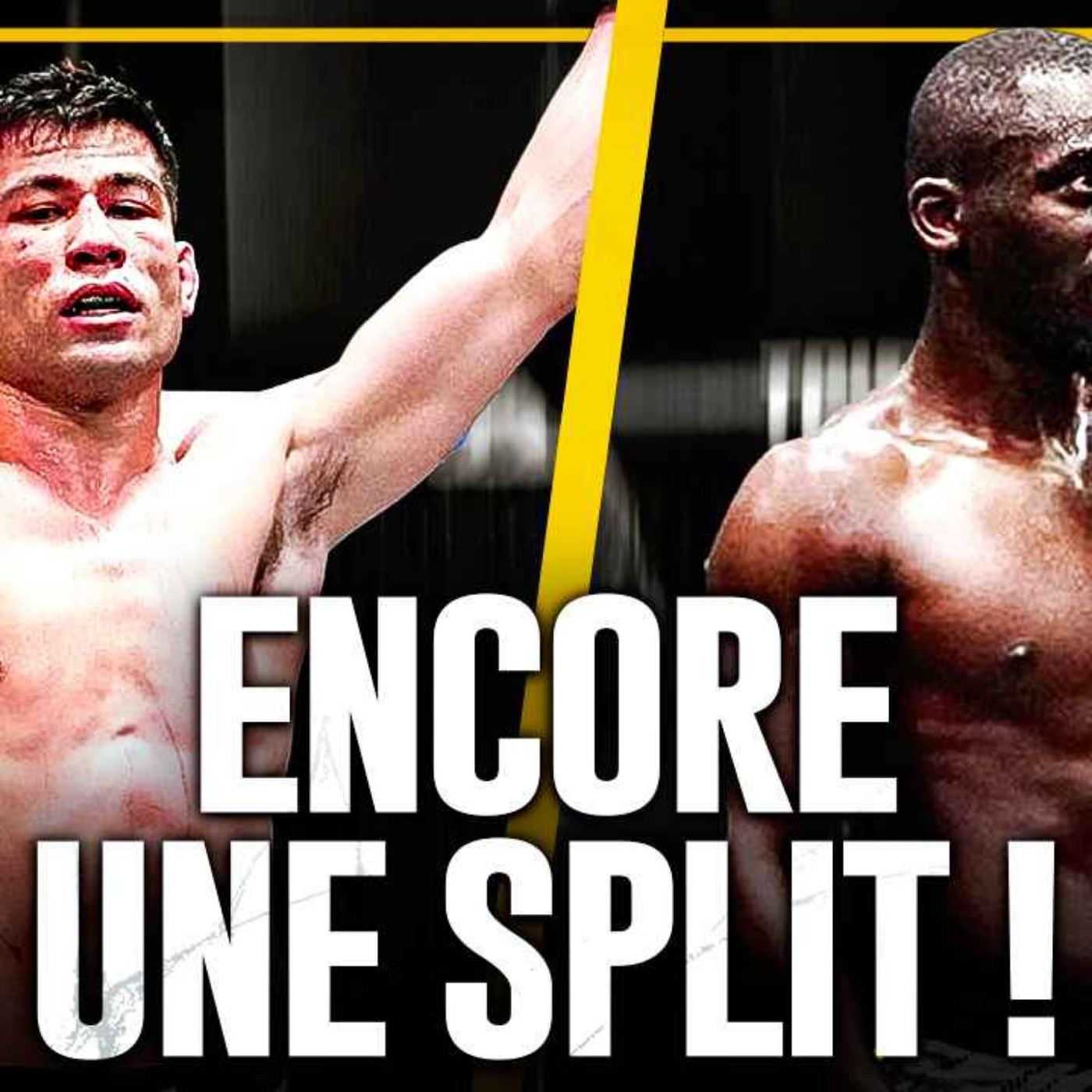 William Gomis: un Vol ? - On a LE Prochain Adversaire pour Ziam ? Récap' UFC episode artwork