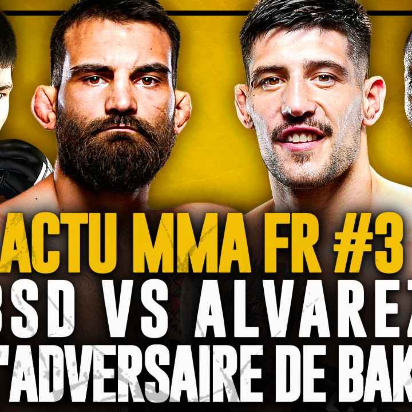 ACTU MMA FR #3 : BSD à l'UFC 315, Baki à l'Ares 30, PFL Paris de folie, etc. episode artwork