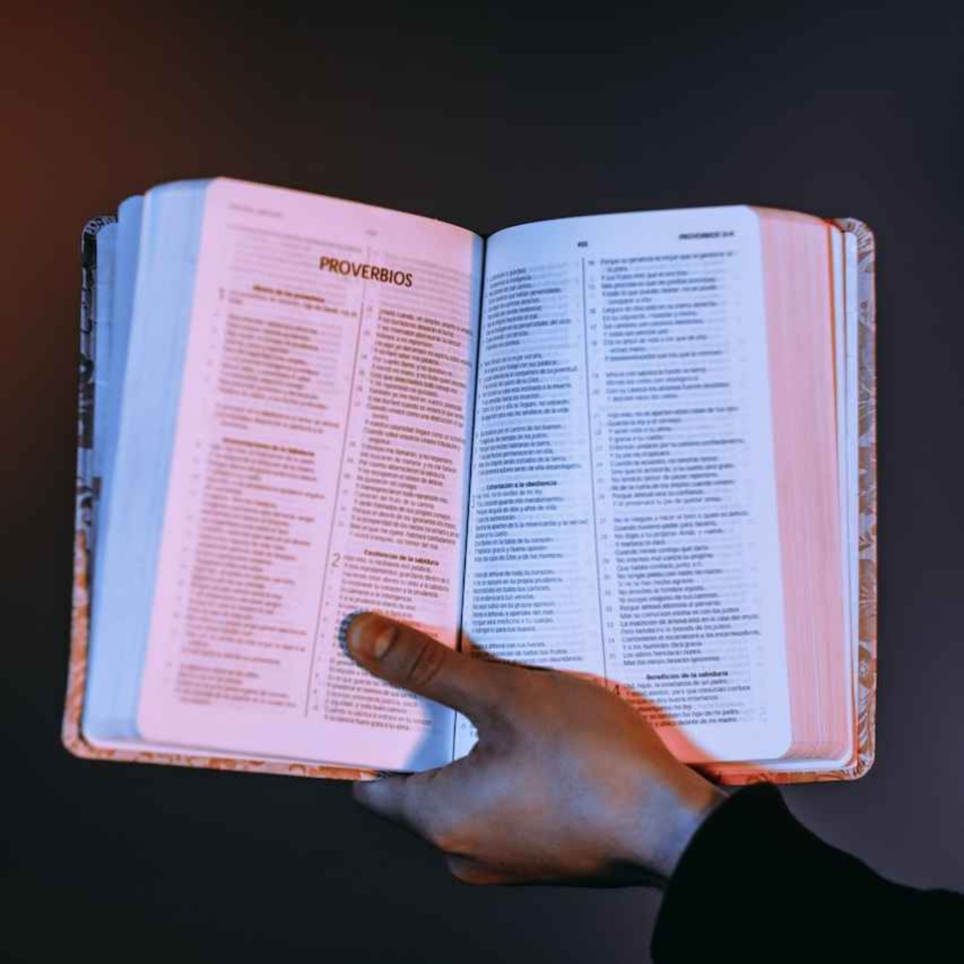 La Palabra Hablada de Dios