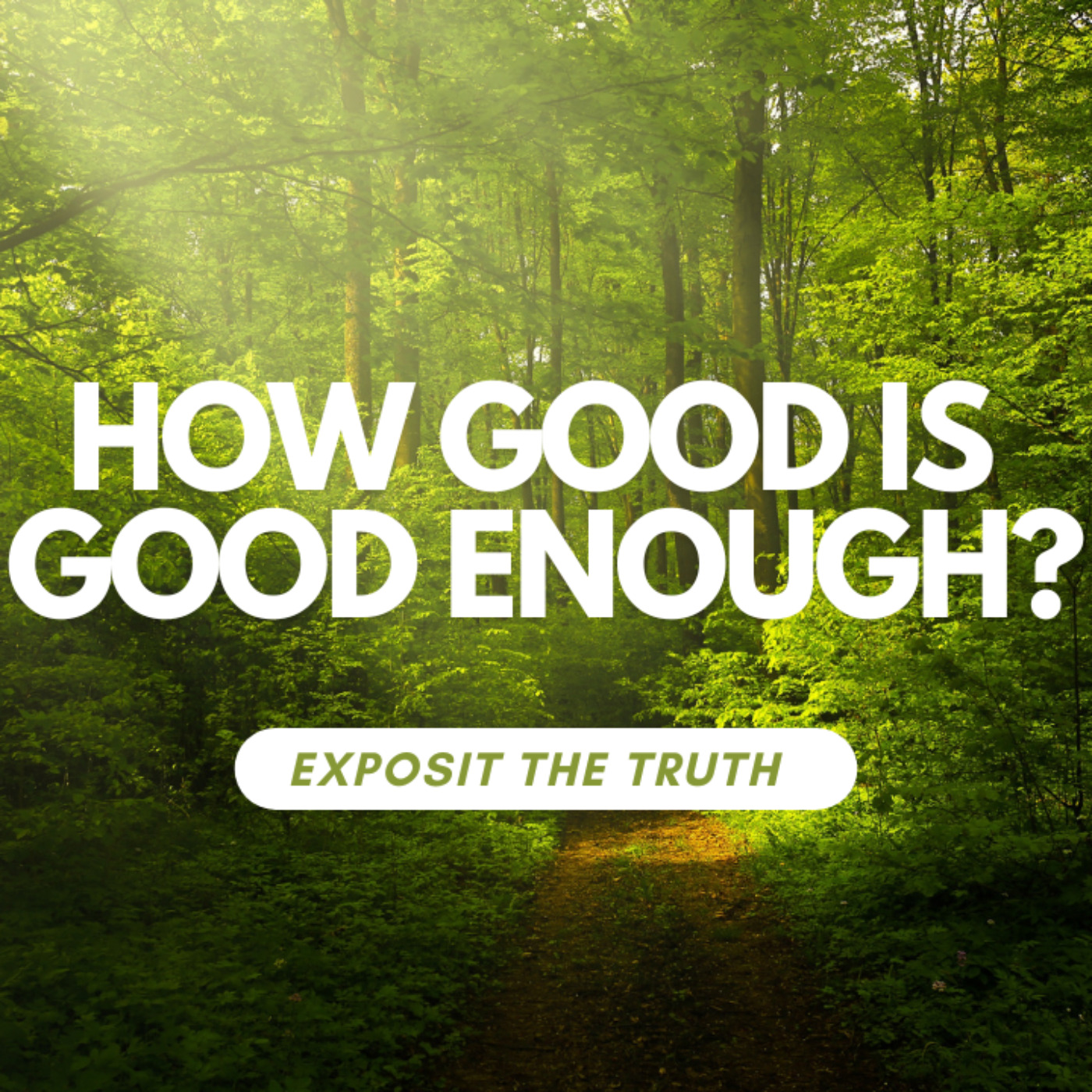 How good is good enough Part 2: deceitful of all things episode artwork