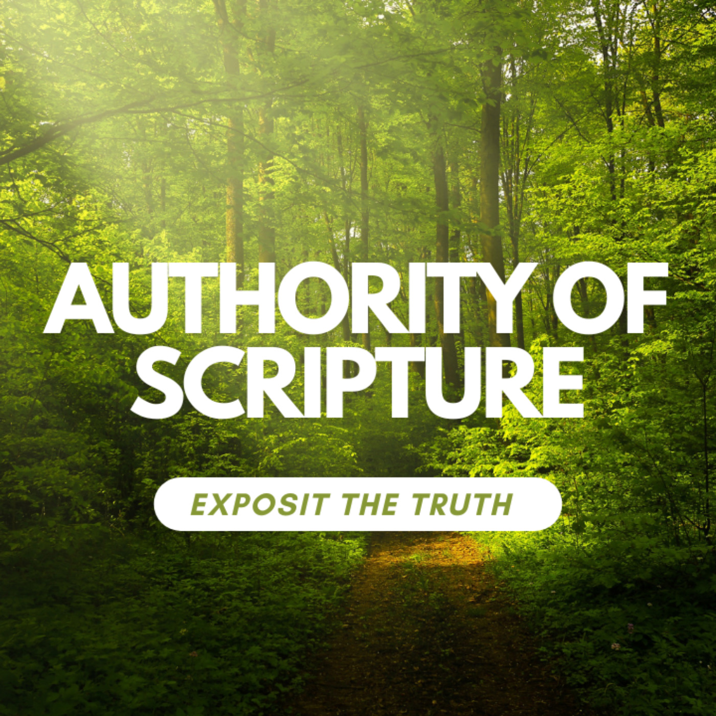 Authority of Scripture Part 1:Overwhelming evidence episode artwork