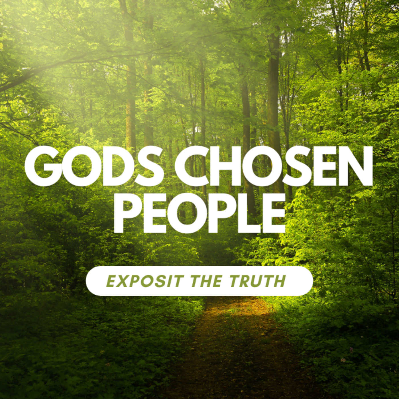 Gods chosen people Part 2:The future of the Jewish Nation episode artwork