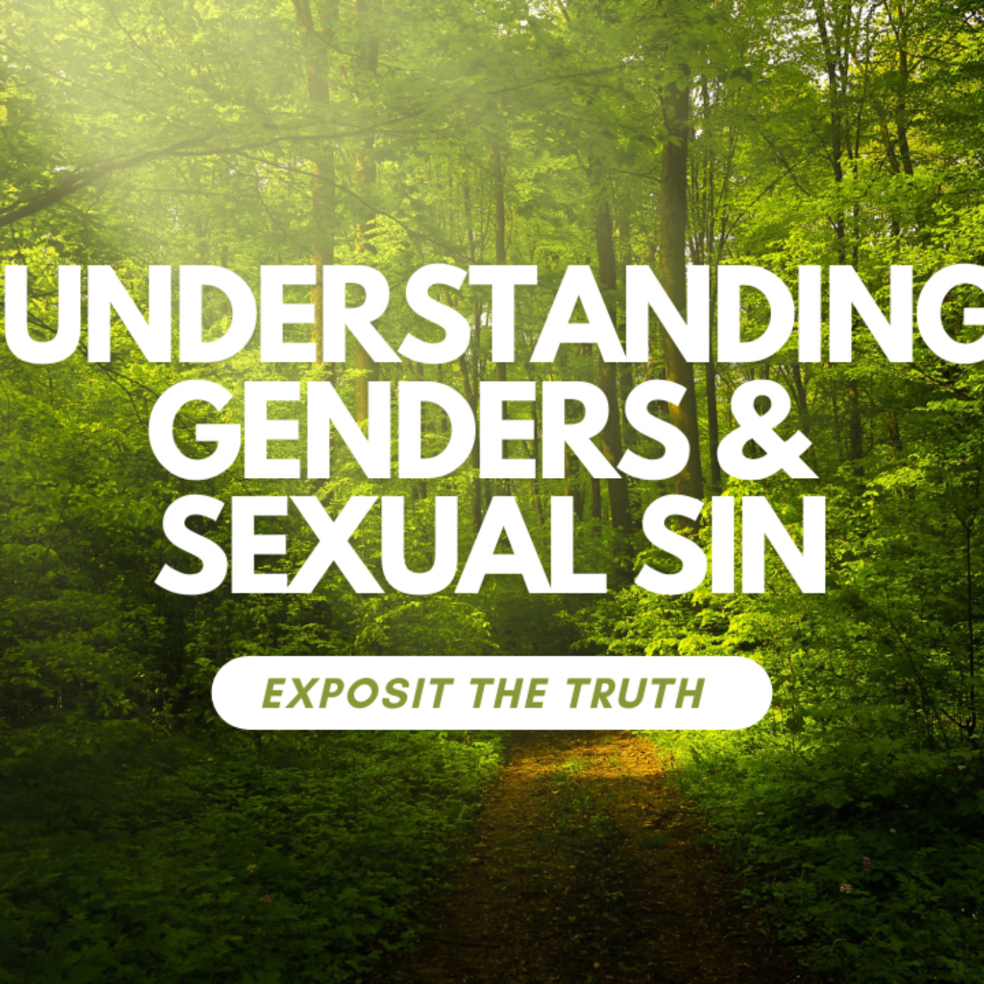 Understanding genders & defining sexual sin: Part 1 episode artwork