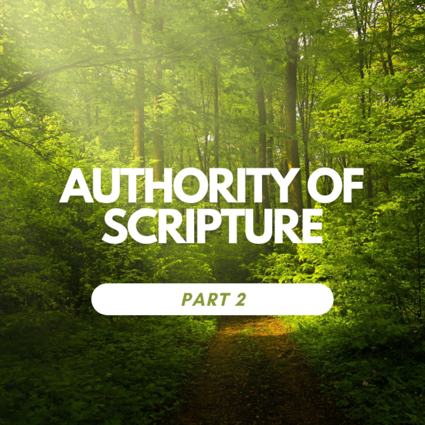 Authority of Scripture Part 2: How do I fight back against evil? episode artwork