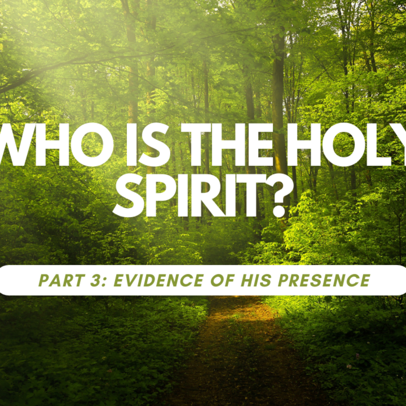 Who is the Holy Spirit? Part 3: the Evidence of His Presence episode artwork