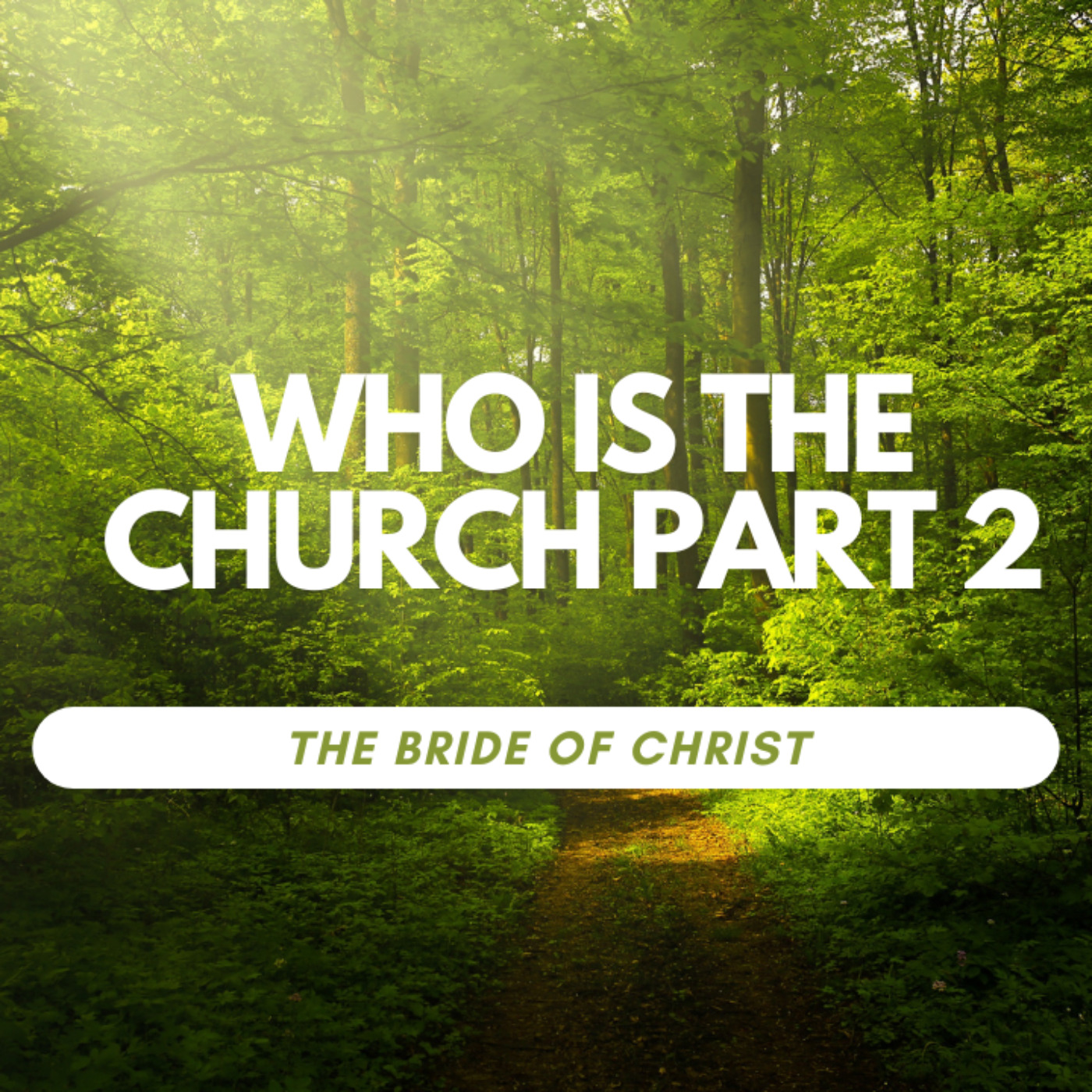 Who is the Church part 2: the Bride of Christ episode artwork