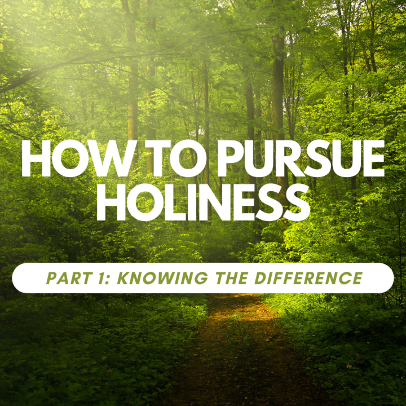 How to pursue Holiness Part 1:Knowing the difference episode artwork