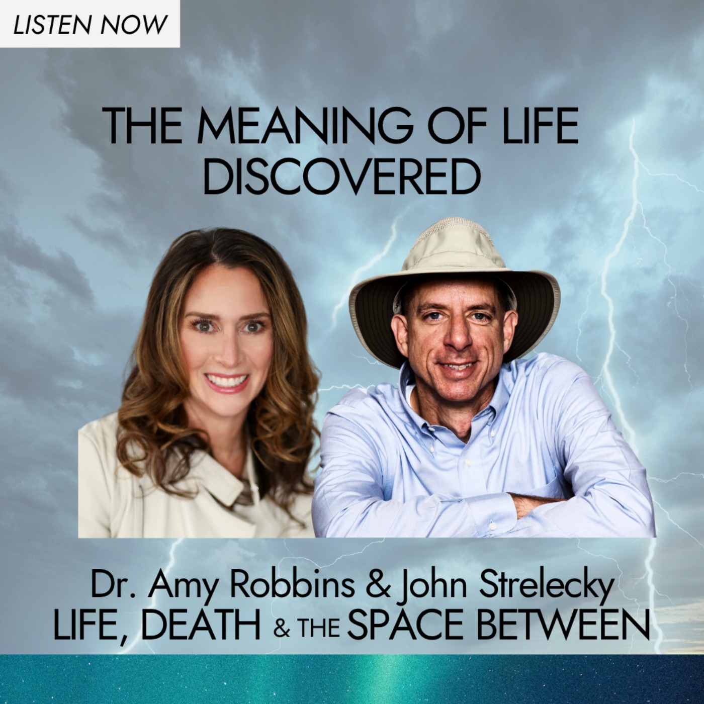 The Meaning of Life Discovered The Meaning of Life Discovered