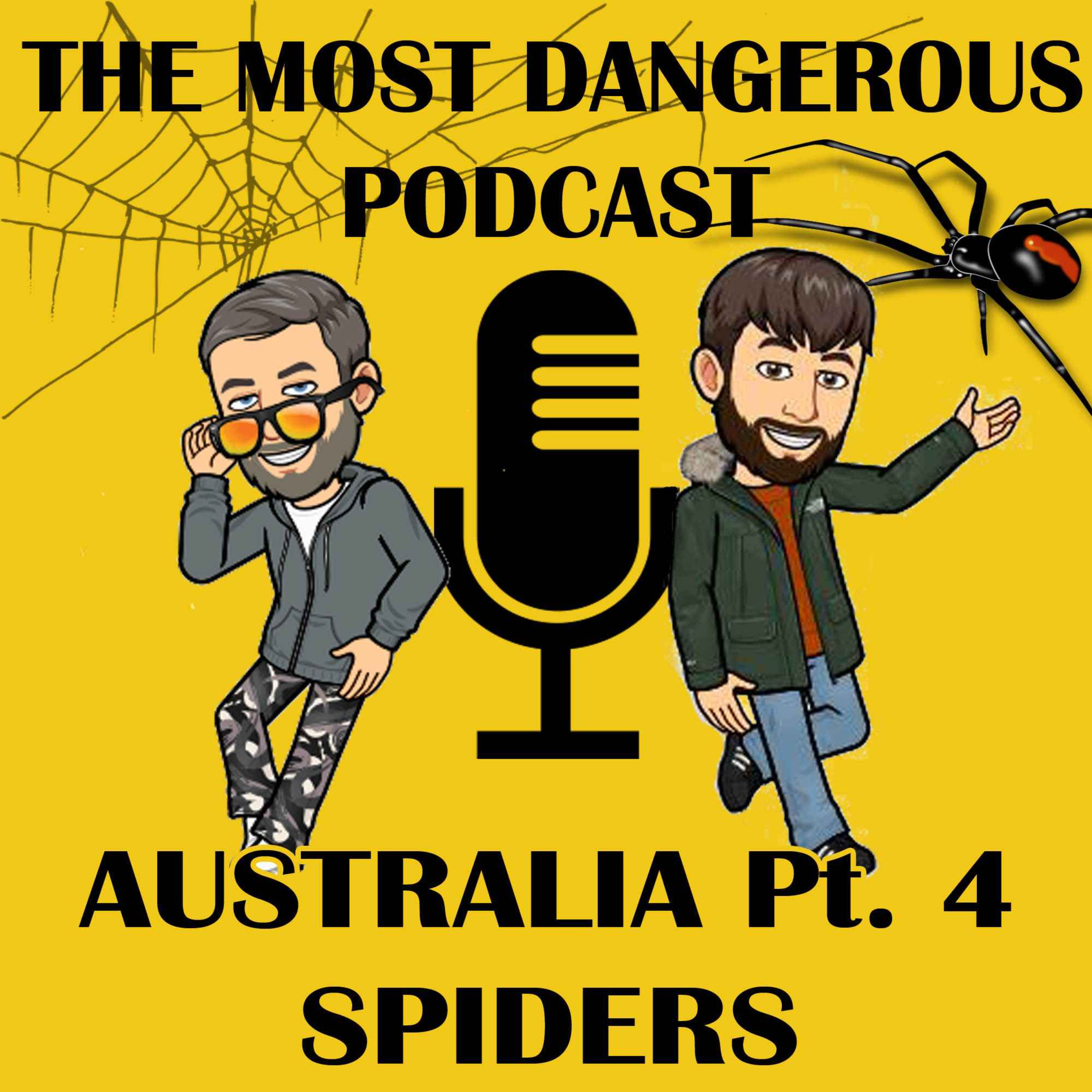 Australia Part 4 - Spiders