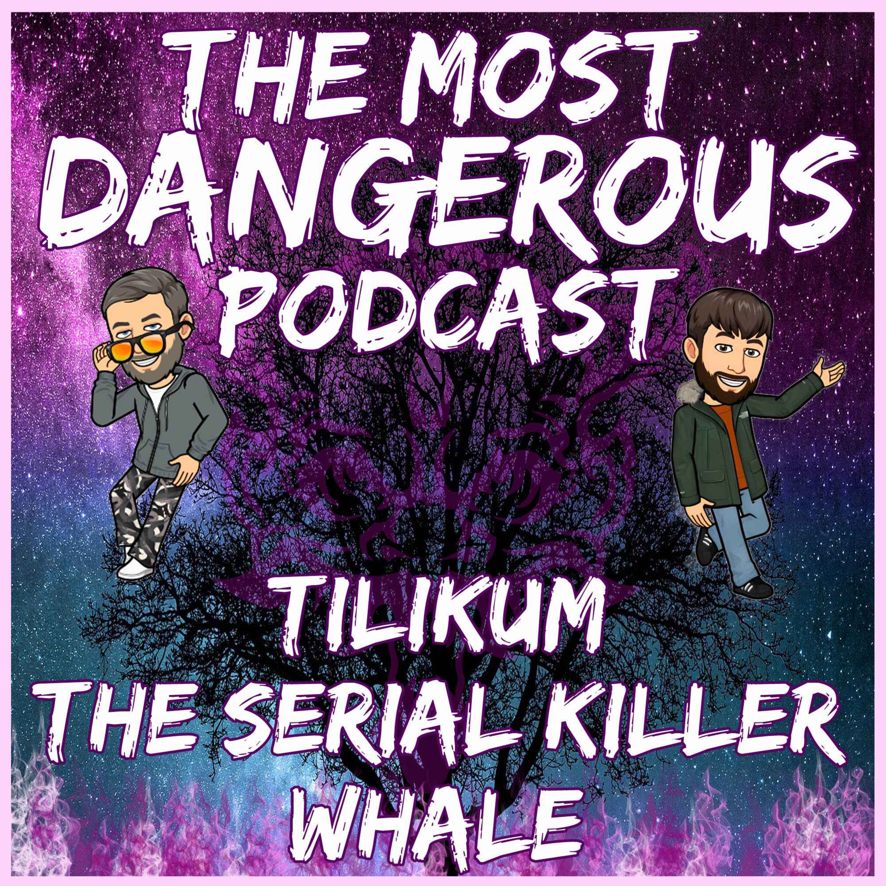 Tilikum - The Serial Killer Whale