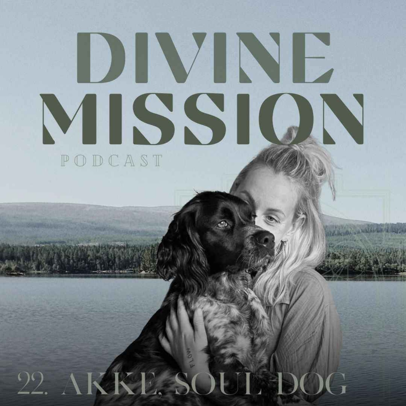 DIVINE MISSION