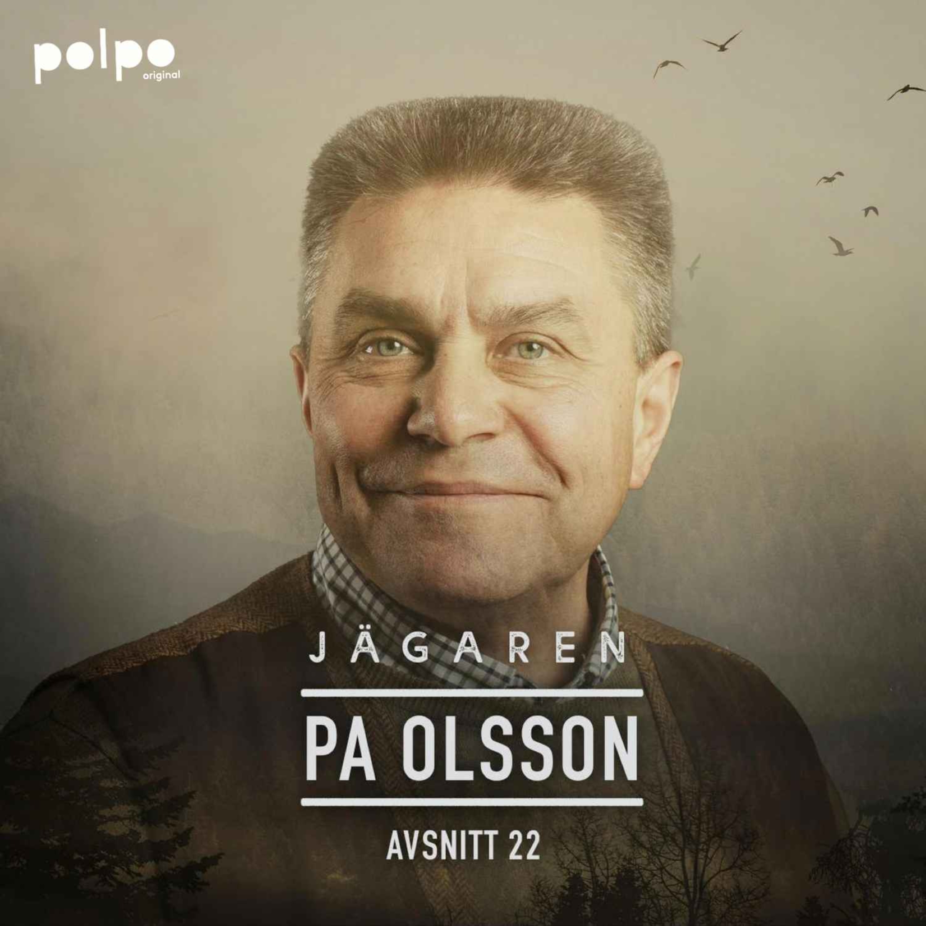 cover art for PA Olsson