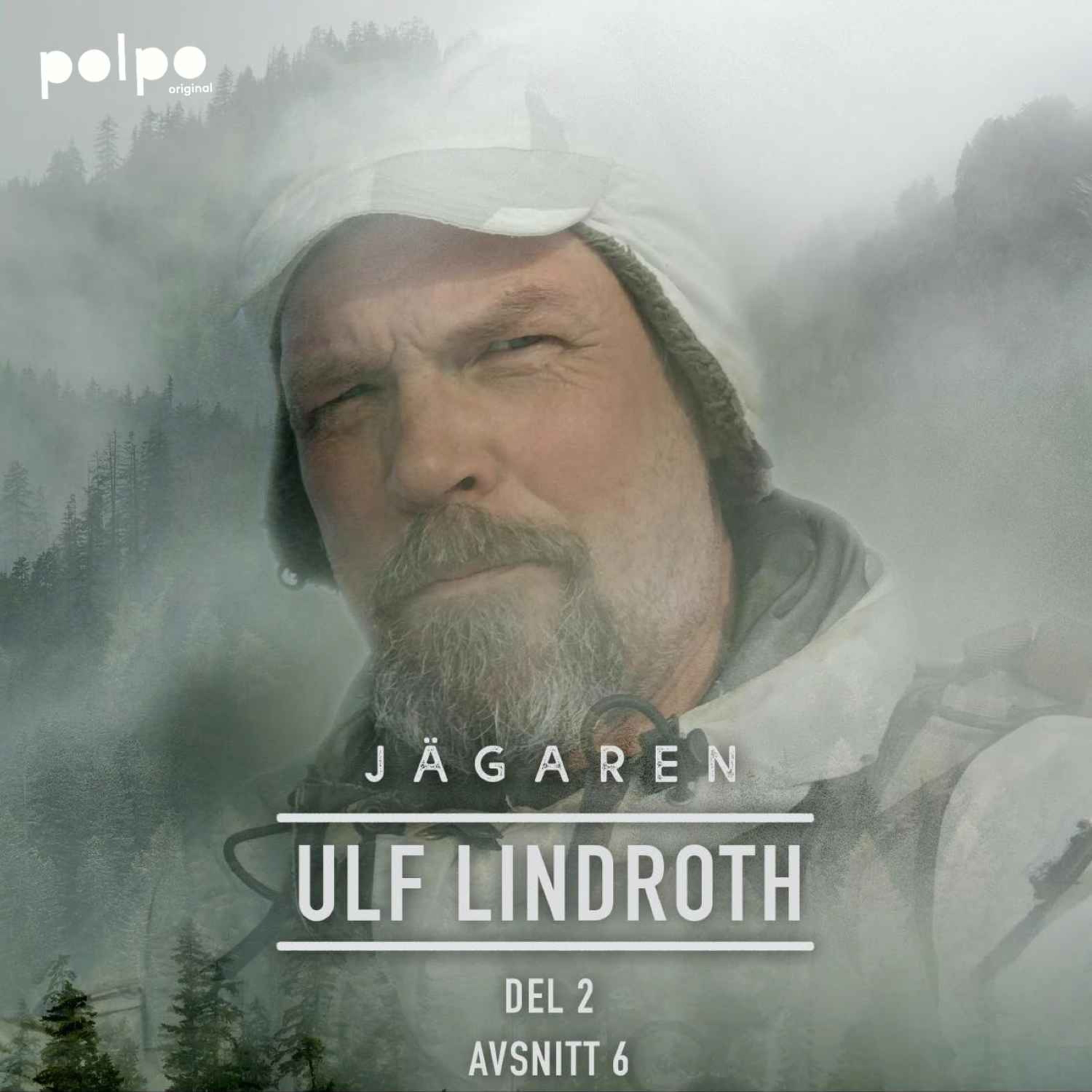 cover art for Ulf Lindroth del 2