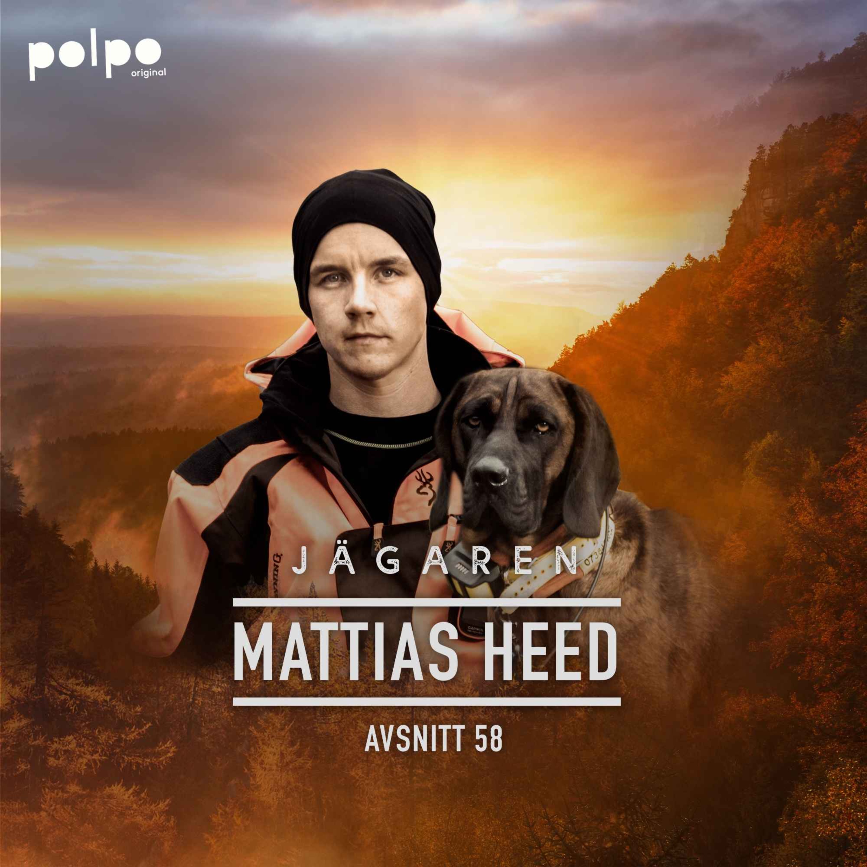 cover art for Mattias Heed