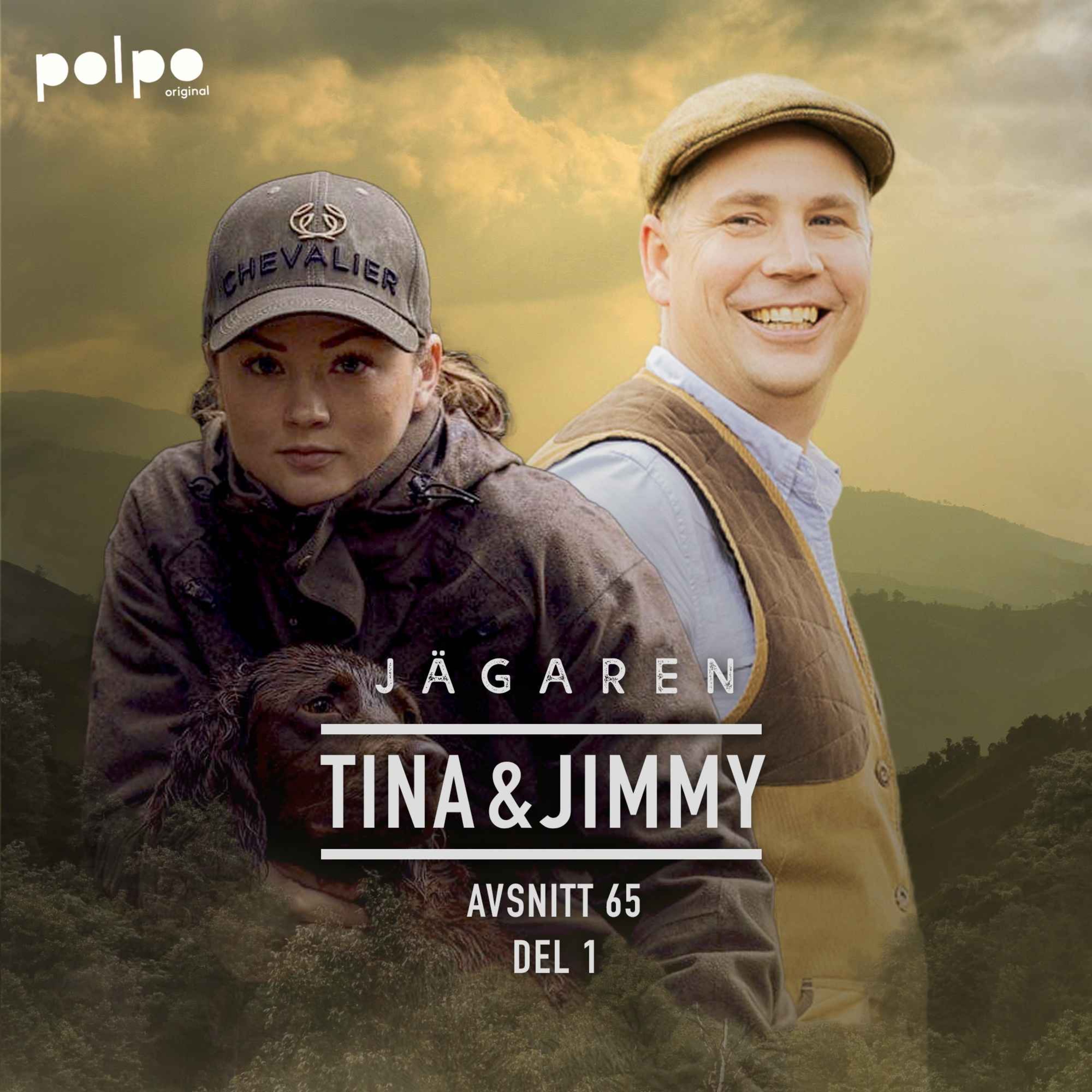 cover art for Tina & Jimmy