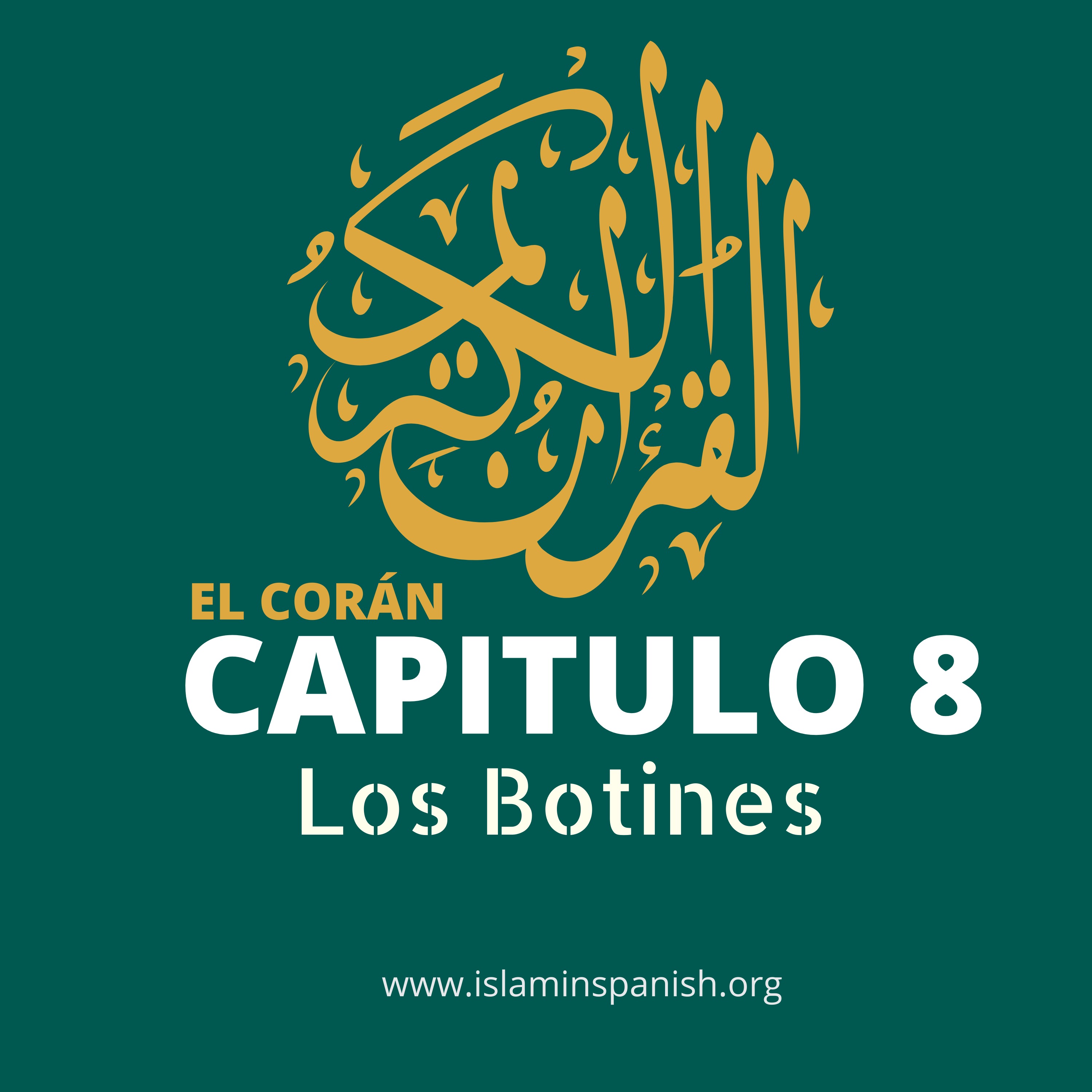 cover art for Capítulo 8 - Los Botines