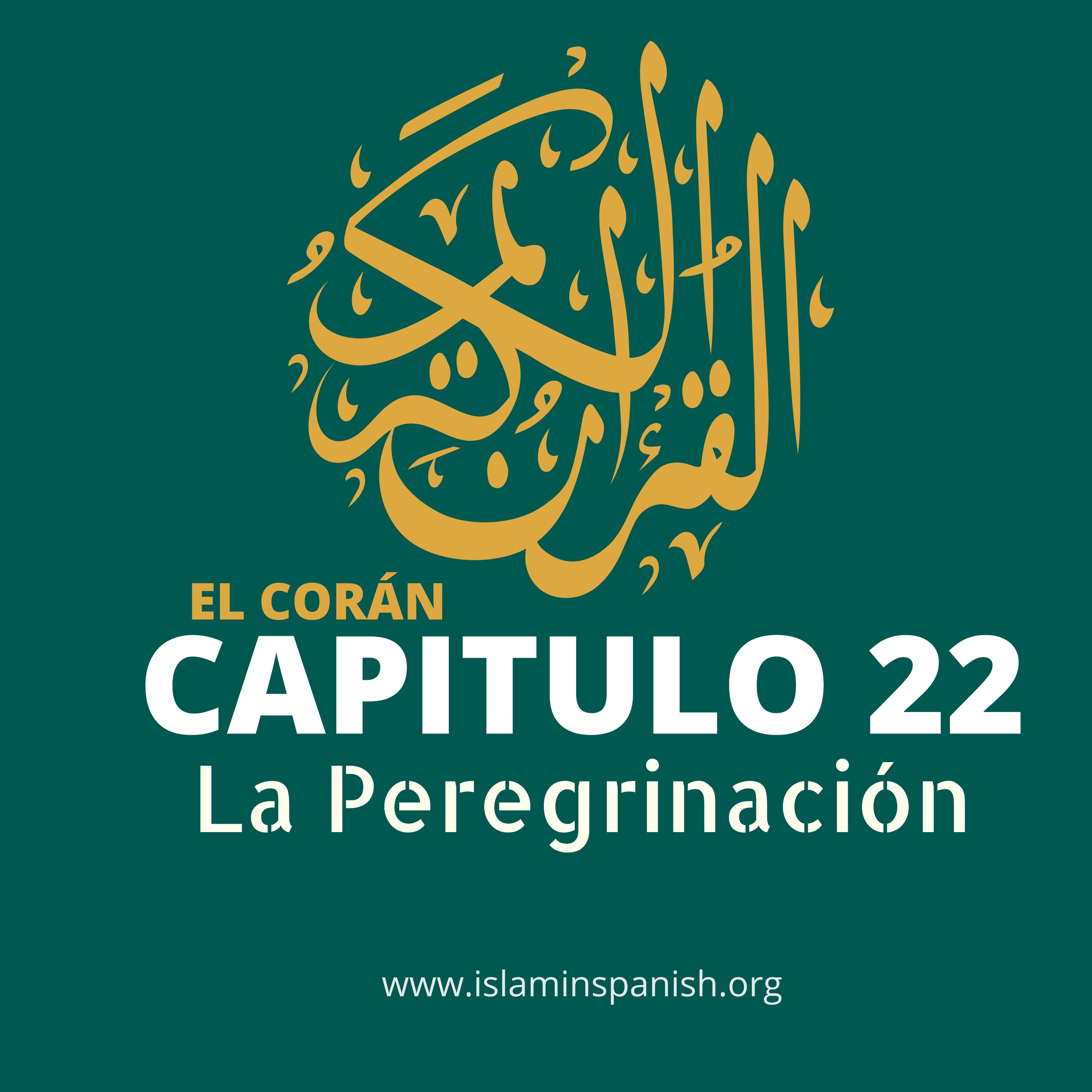 Capítulo 22 - La Peregrinación episode artwork
