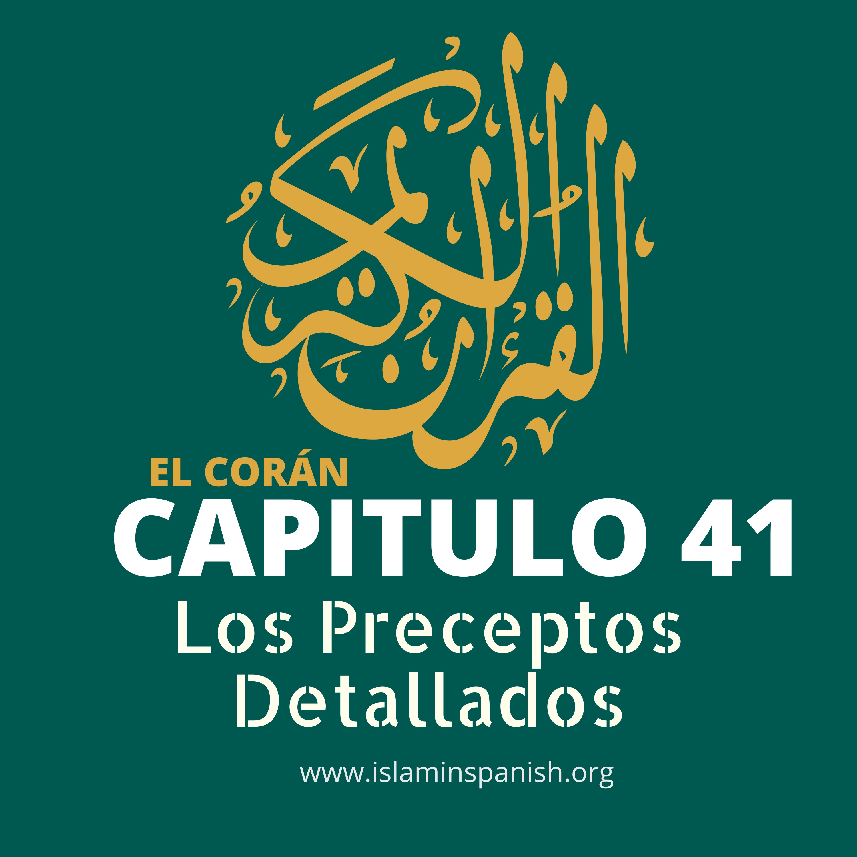 Capítulo 41 - Los Preceptos Detallados