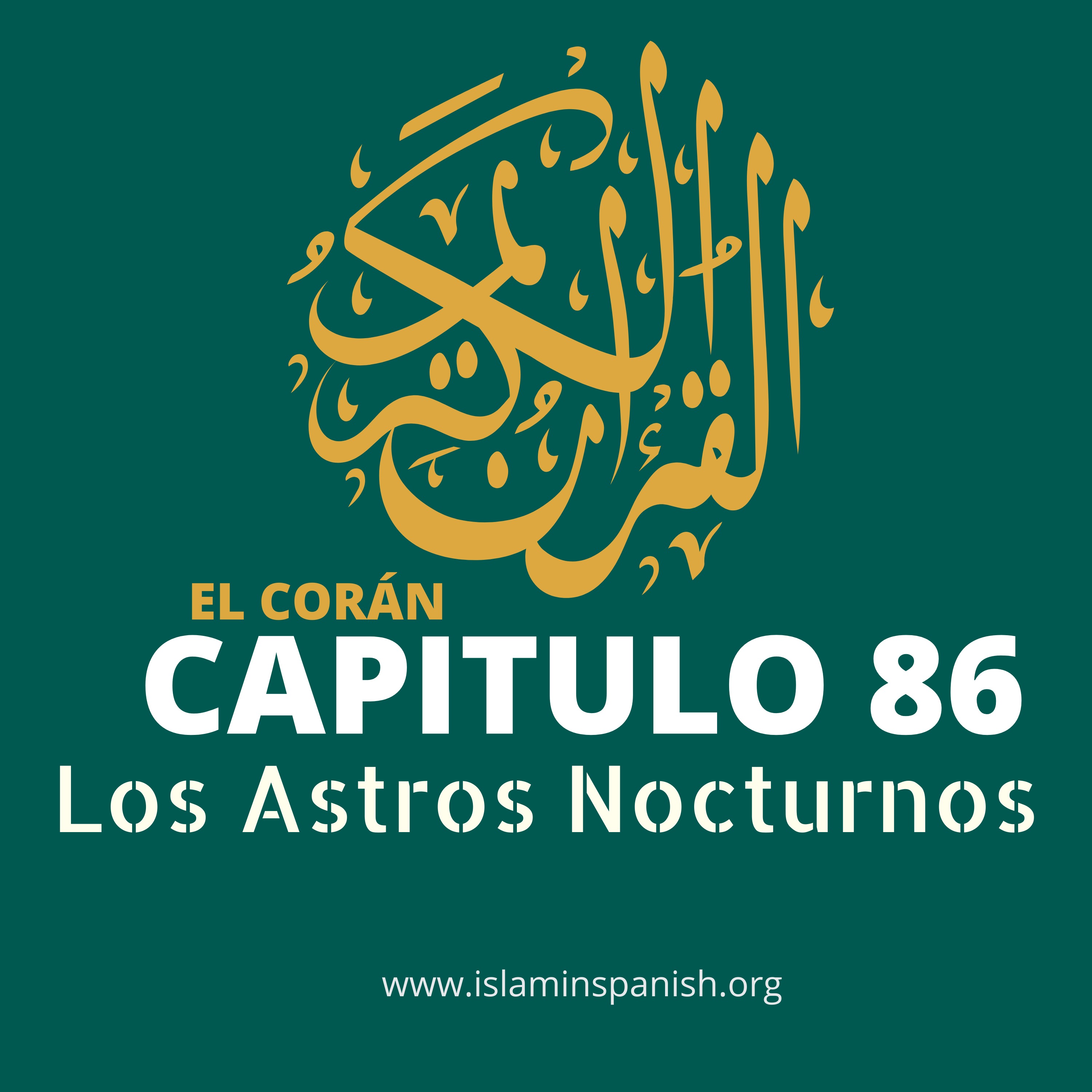 Capítulo 86 - Los Astros Nocturnos