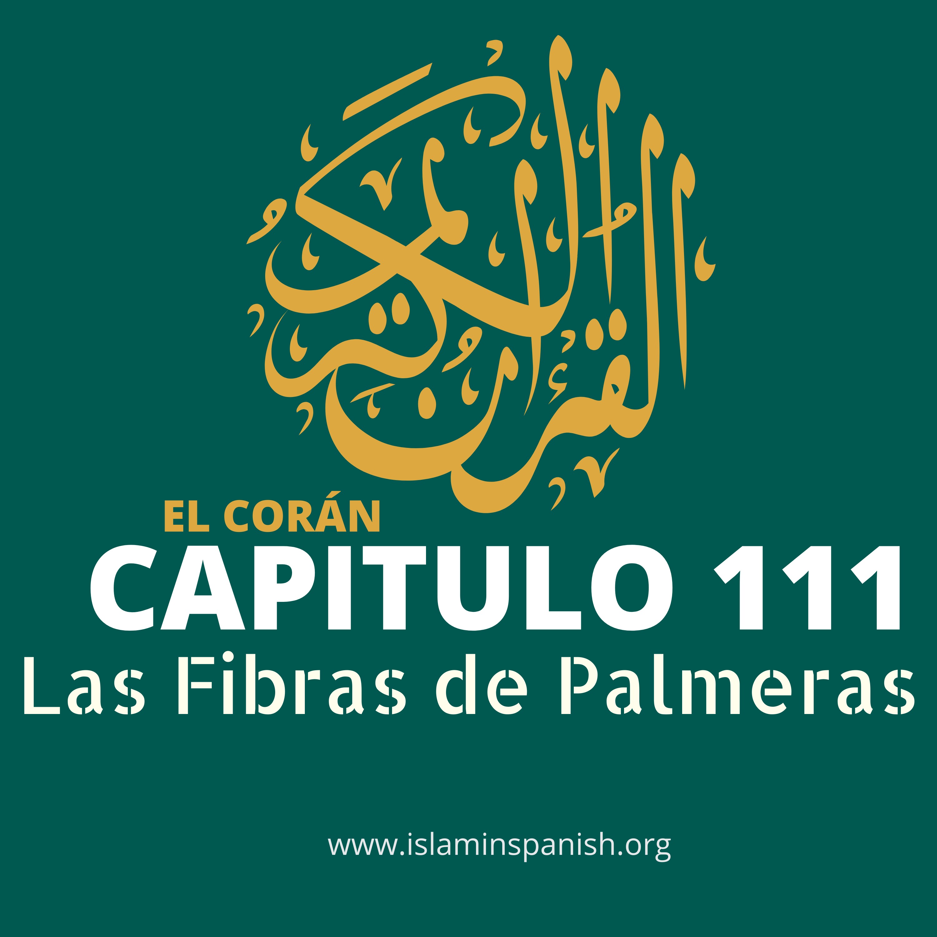 Capítulo 111 - Las Fibras de Palmeras