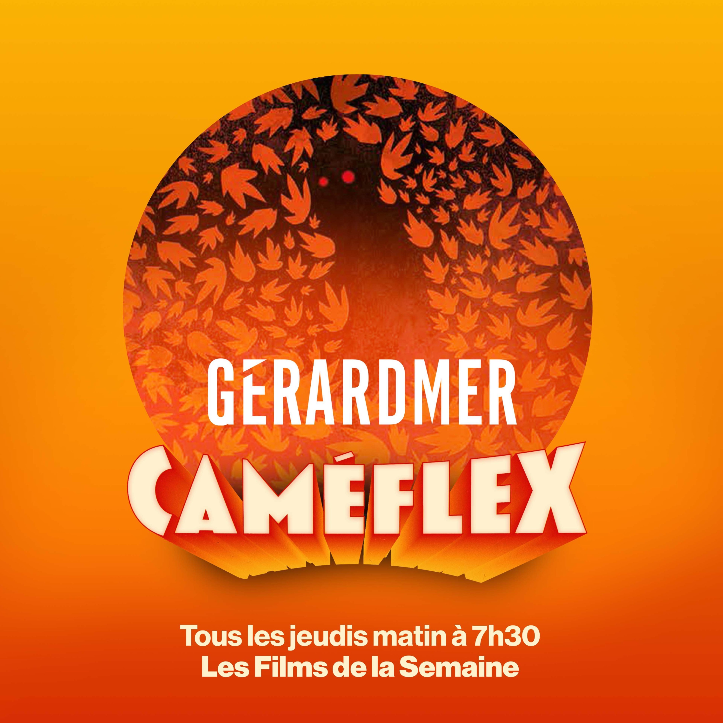 Caméflex