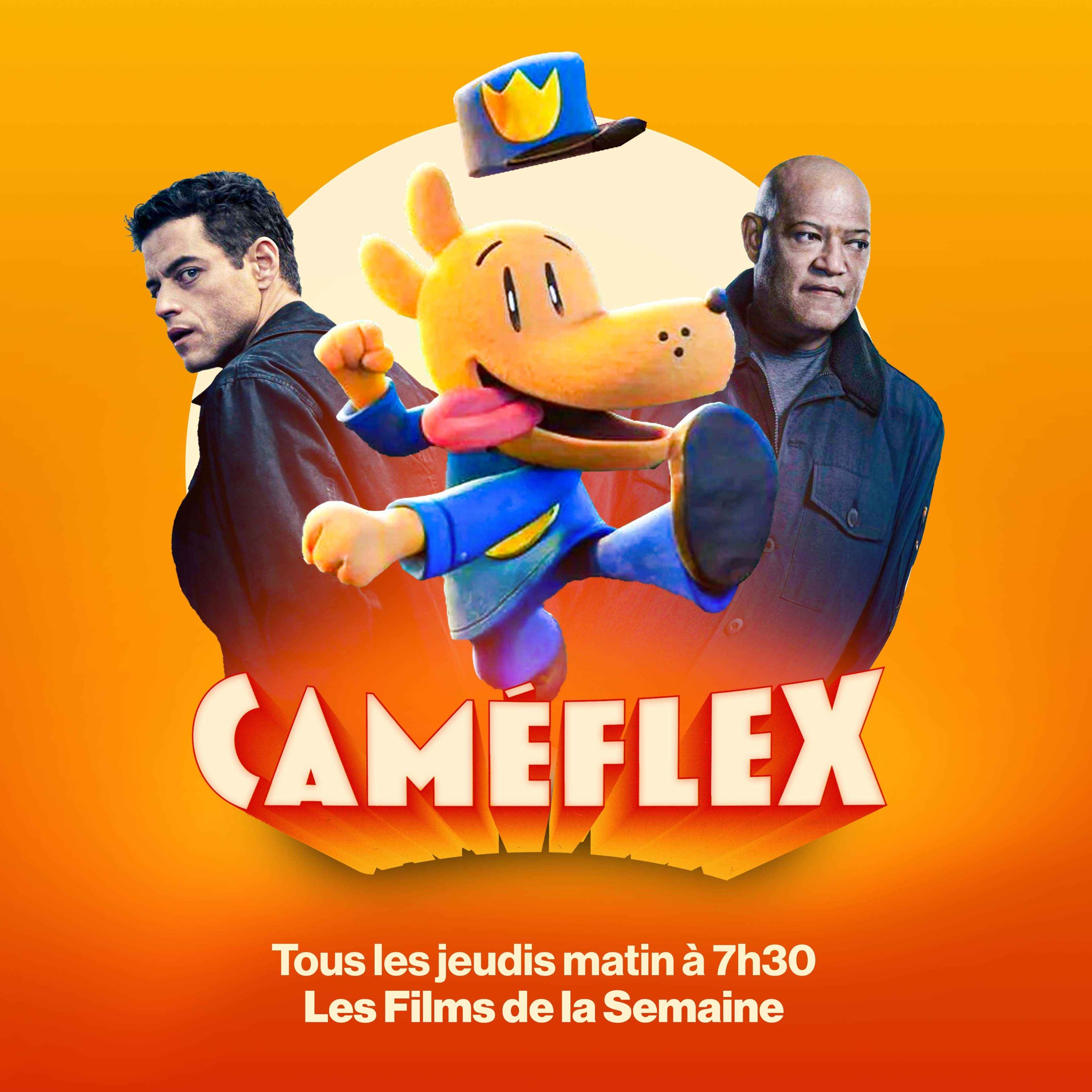 Les Films de la Semaine – The Amateur & Dog Man