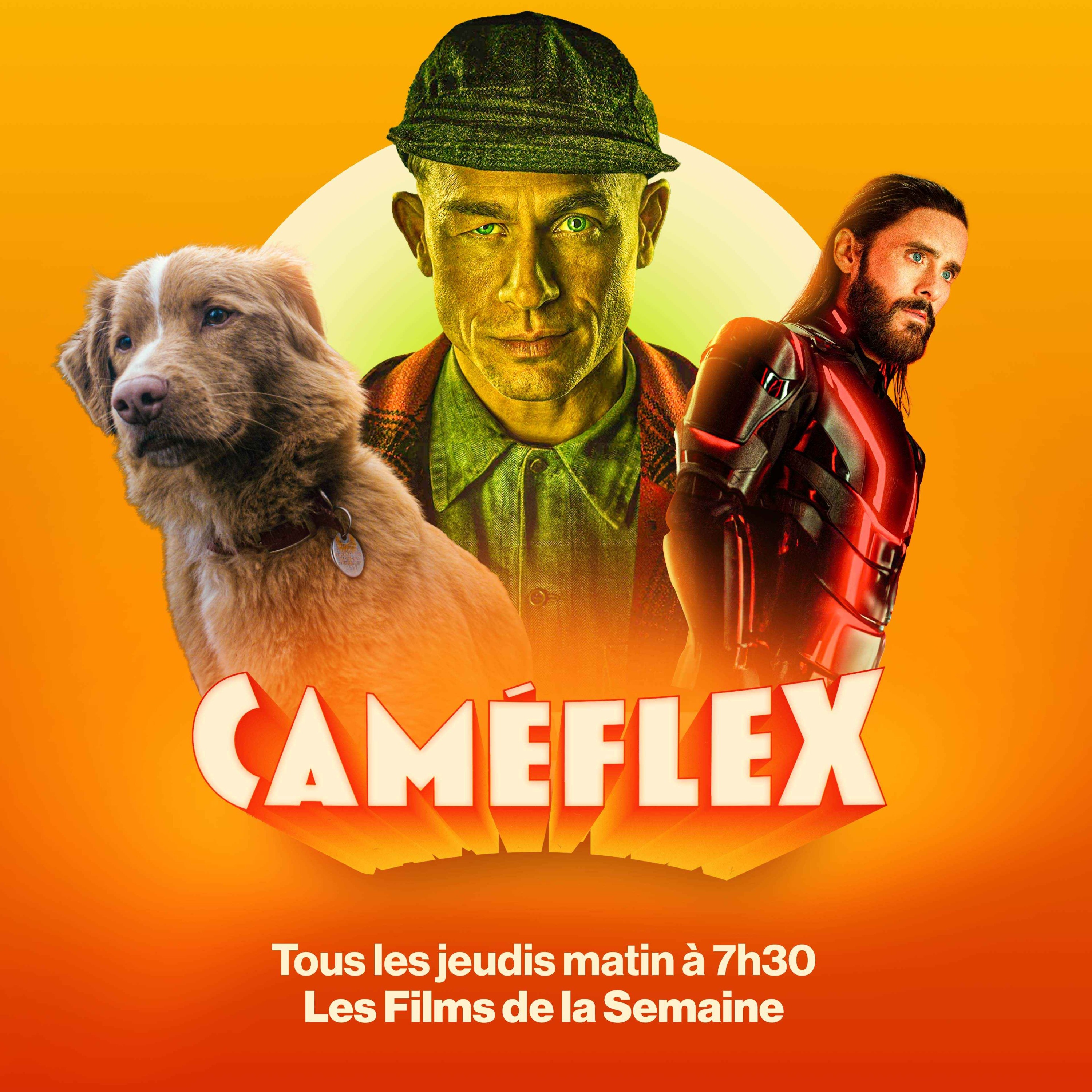 Les Films de la Semaine - Tron: Ares 🥏, Monstre : L'Histoire d'Ed Gein 🔪 & Good Boy 🐕 episode artwork
