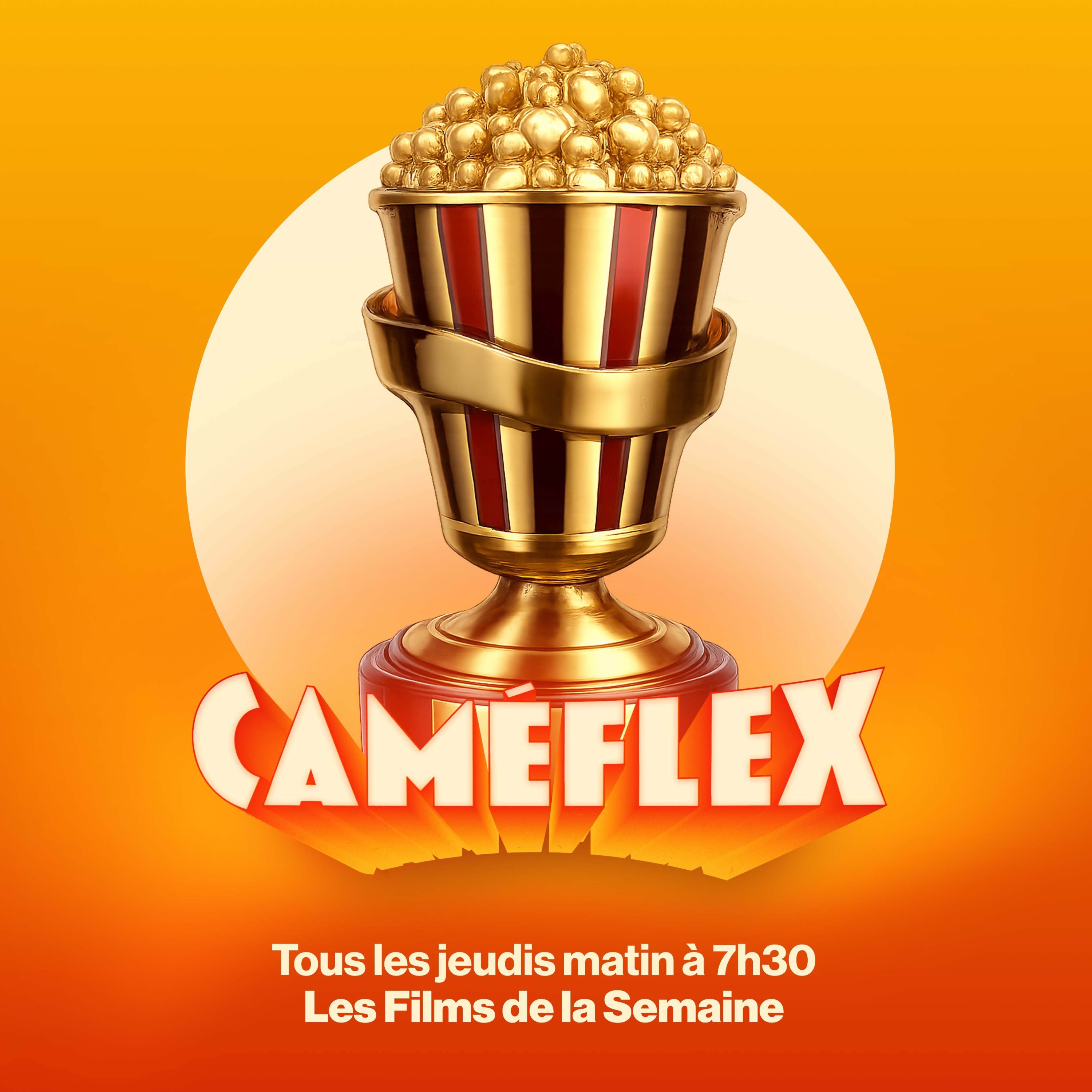 Les Caméflex d'Or - Bilan de l'année 🏆 episode artwork