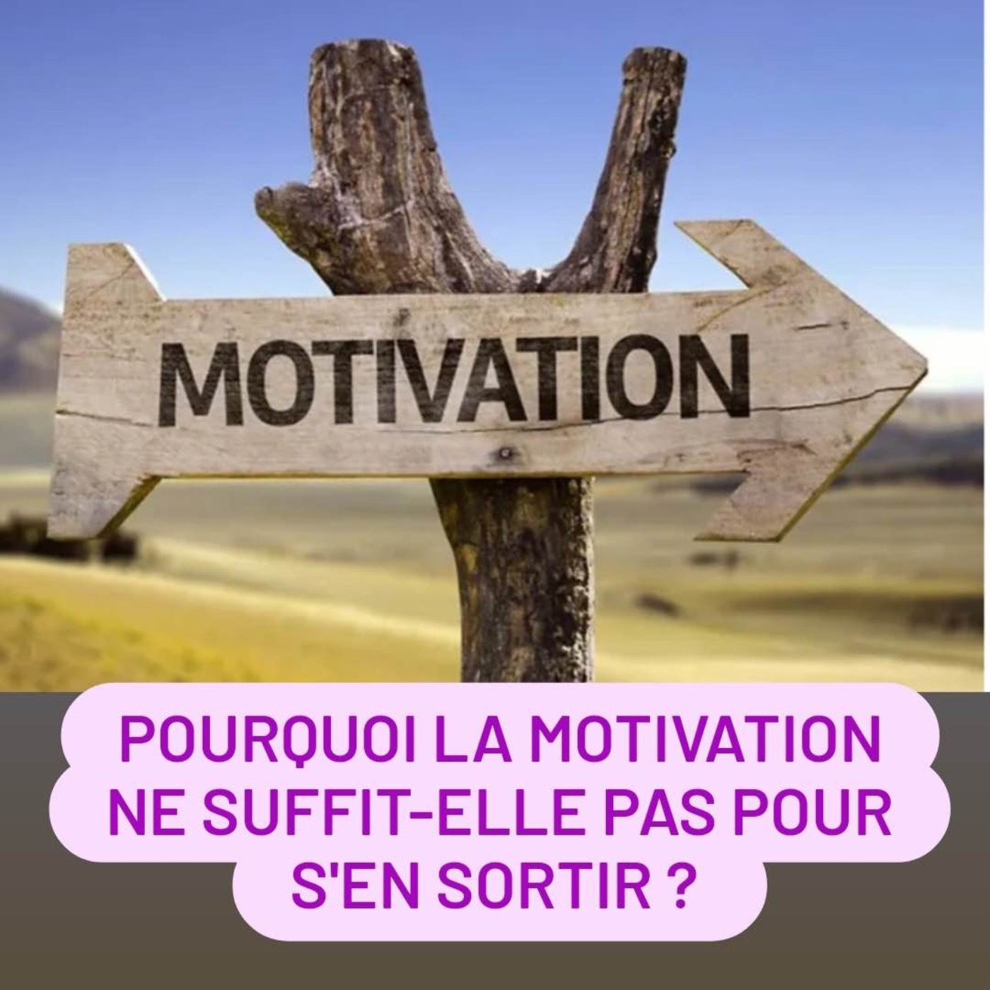 Pourquoi la motivation ne suffit-elle pas pour s'en sortir? episode artwork