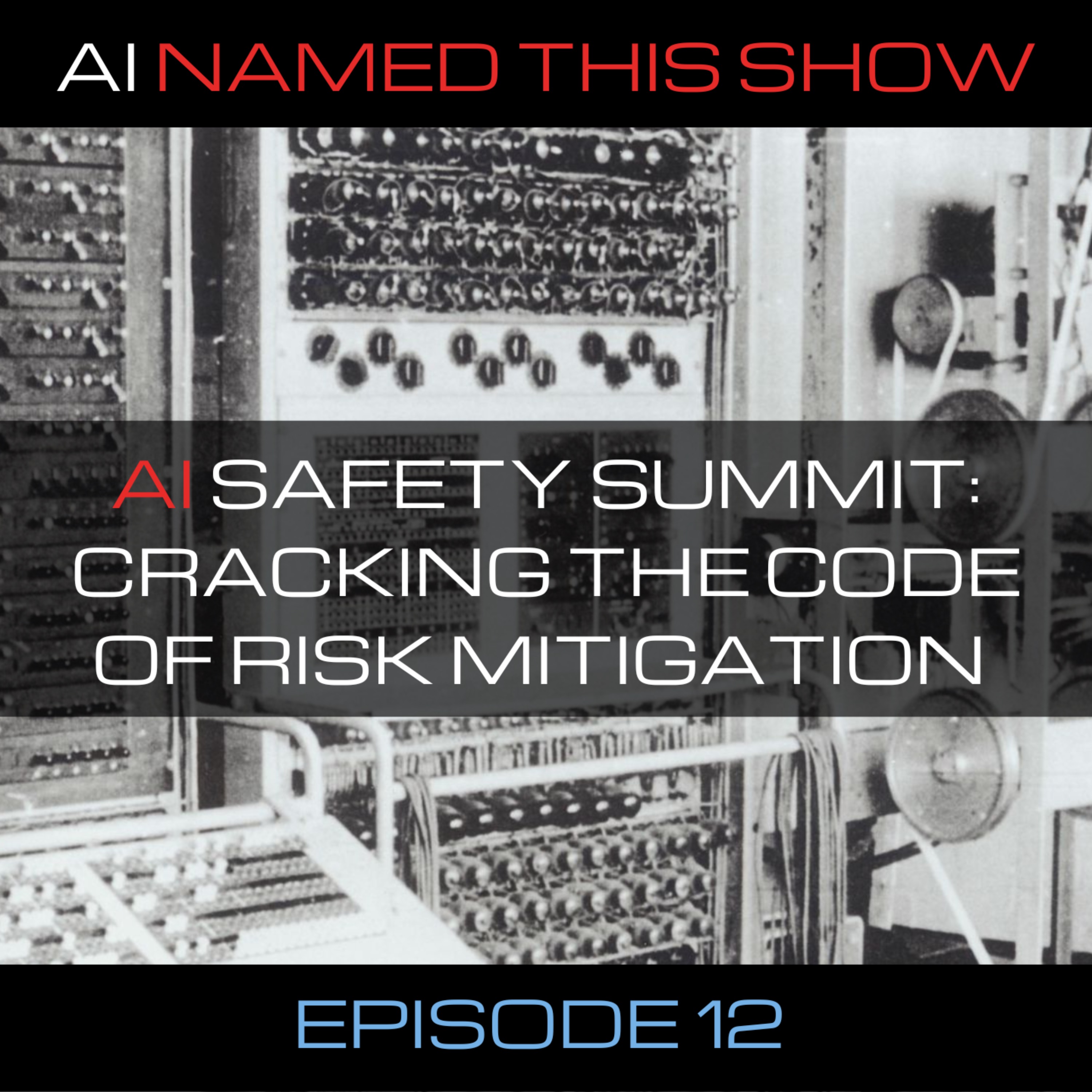 AI Safety Summit: Cracking the code of risk mitigation 🔴 AINTS 012