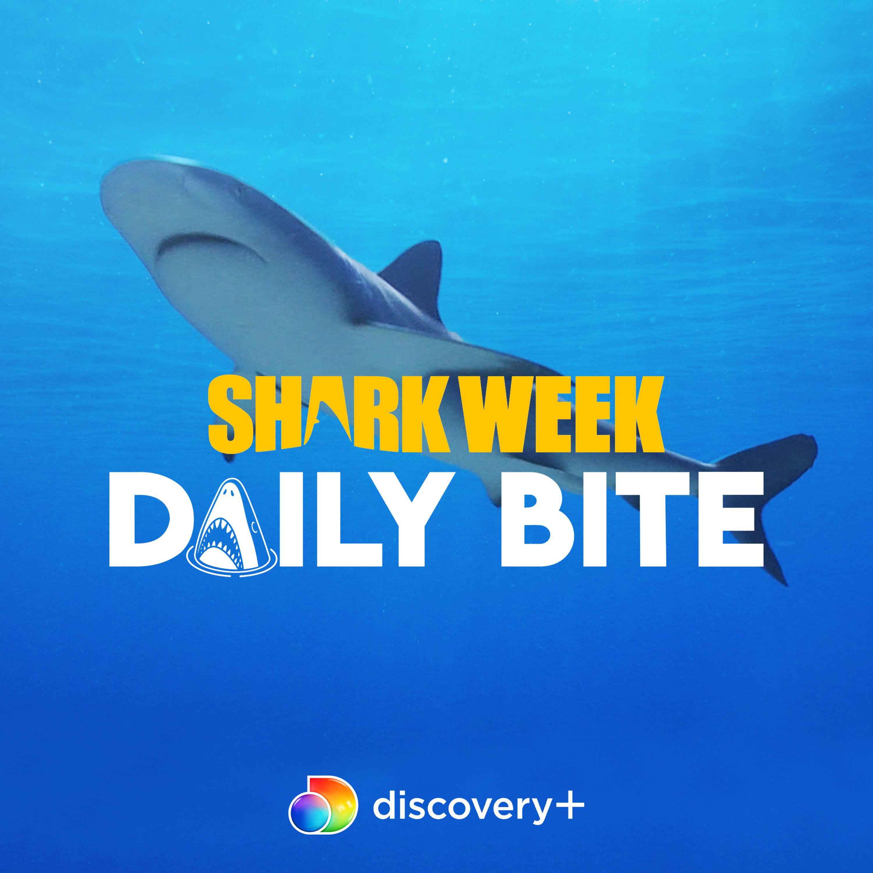 cover art for Studying the Dangerous and Dwindling Mako Shark