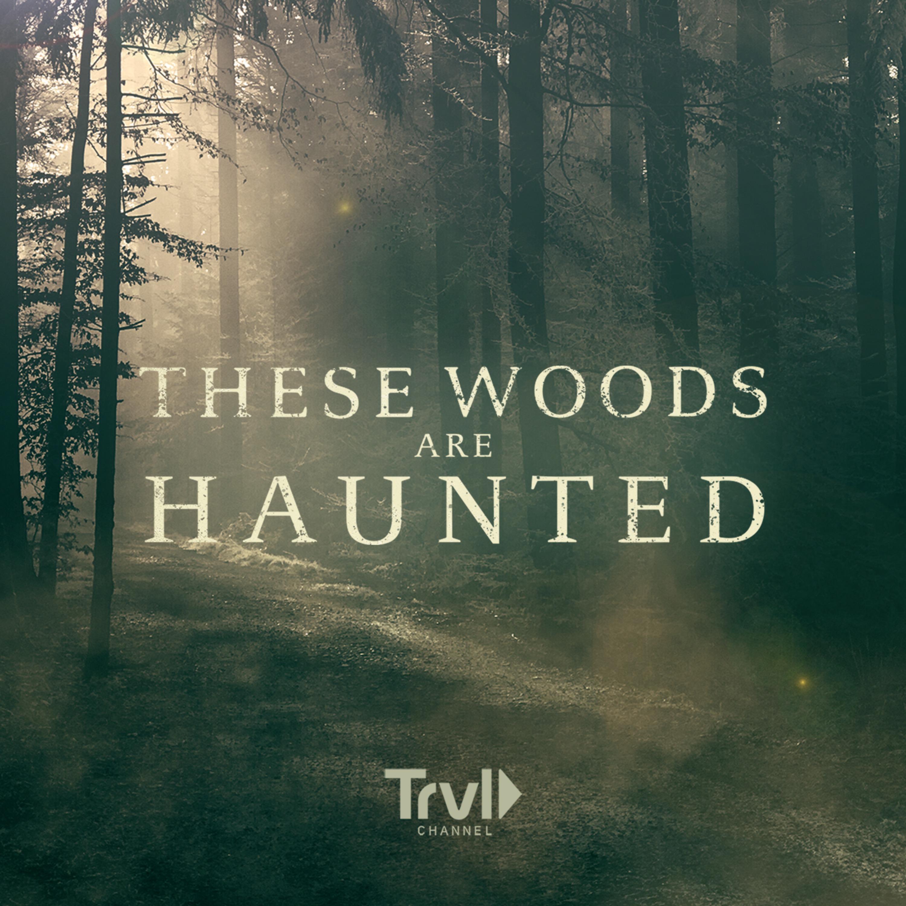 Introducing: These Woods Are Haunted