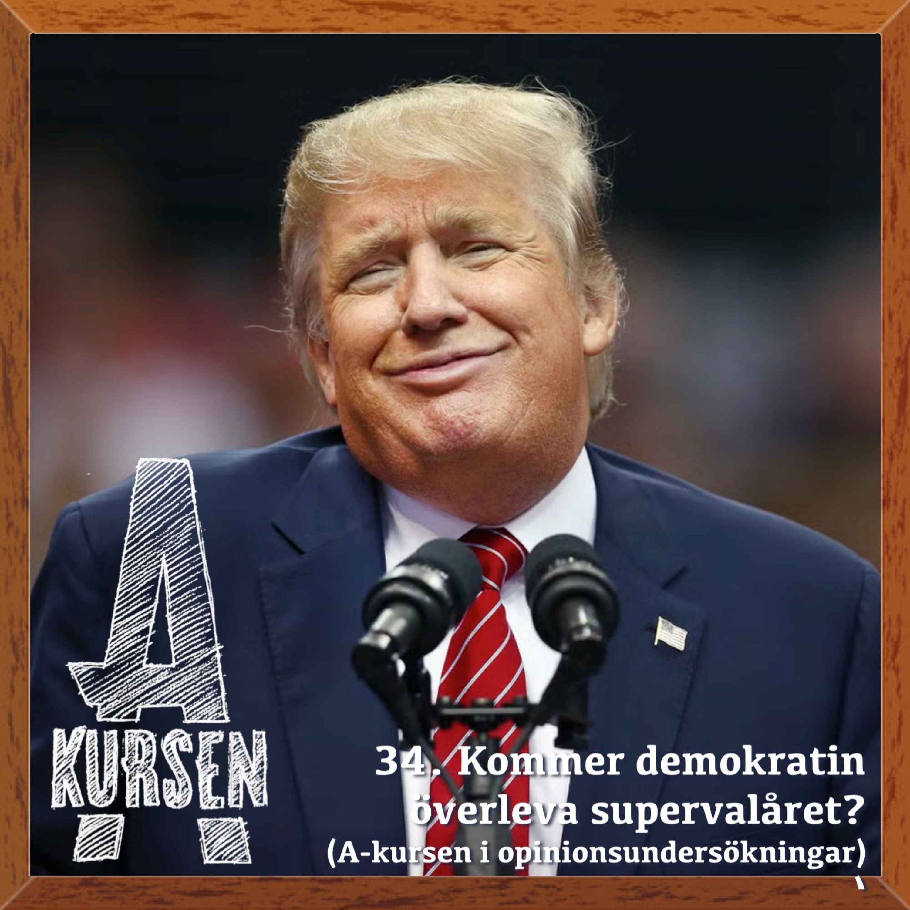 cover art for 34. Kommer demokratin överleva supervalåret? (A-kursen i opinionsundersökningar)