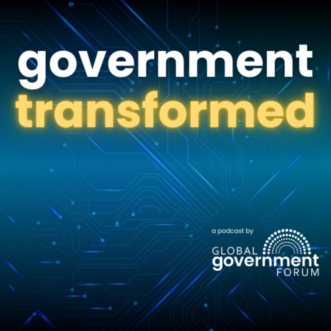 Government Transformed