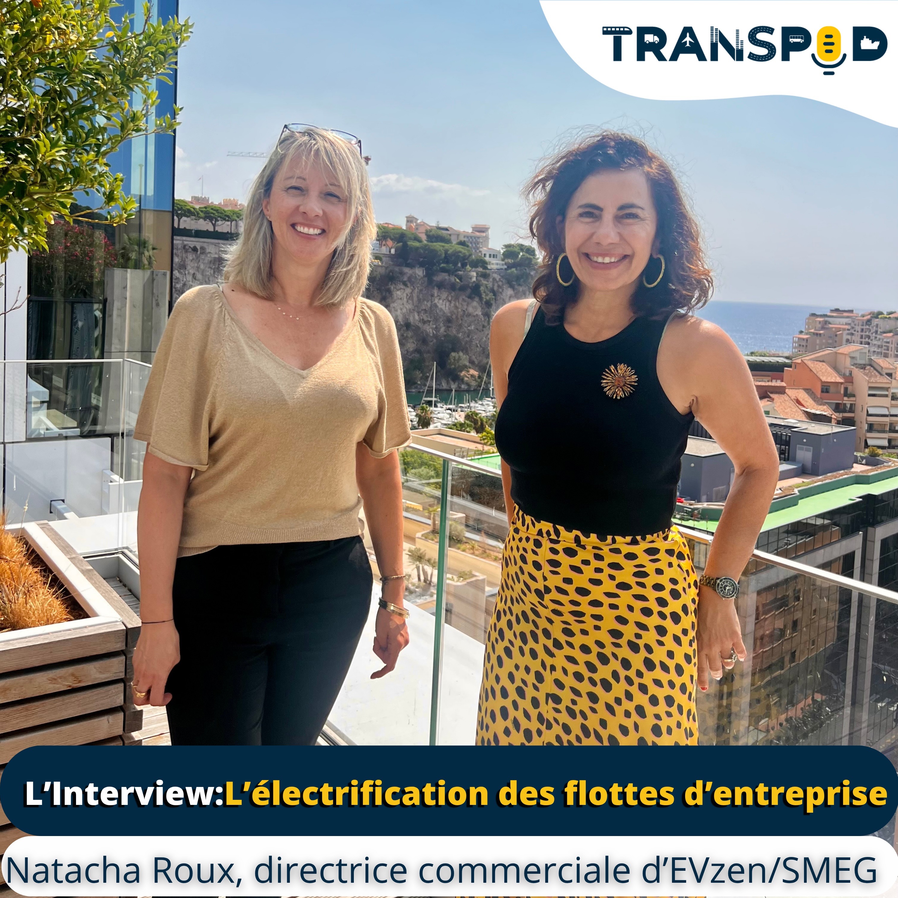Transpod L'Interview :  Du plan national à la réalité opérationnelle des flottes électriques episode artwork