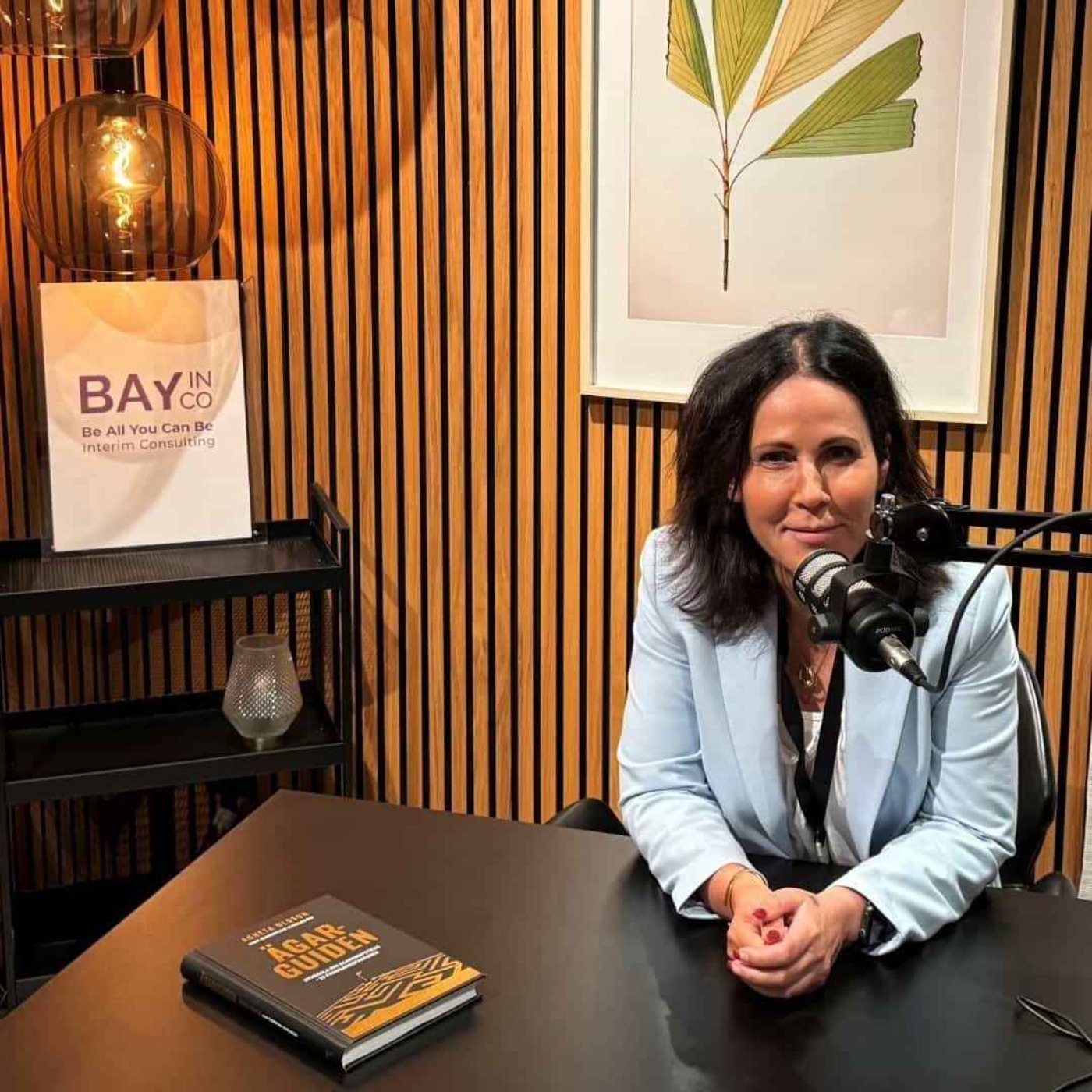 BayInCo podden