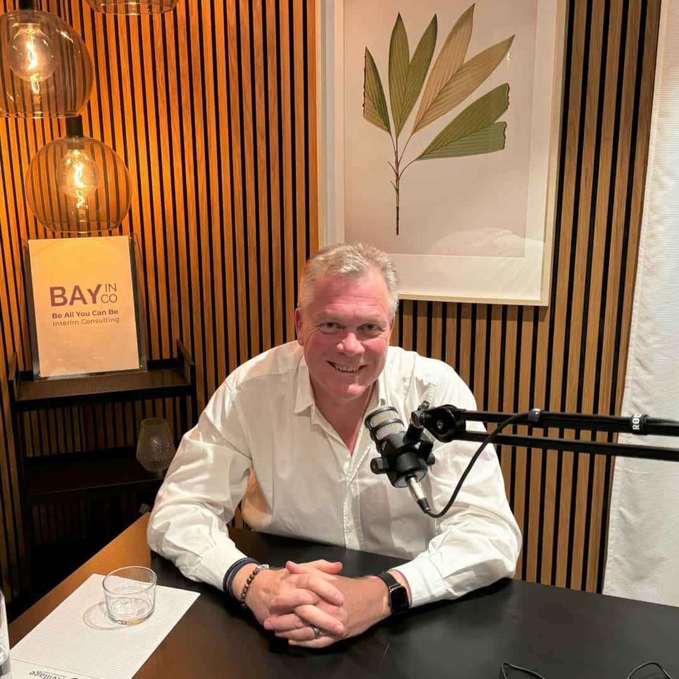 BayInCo podden