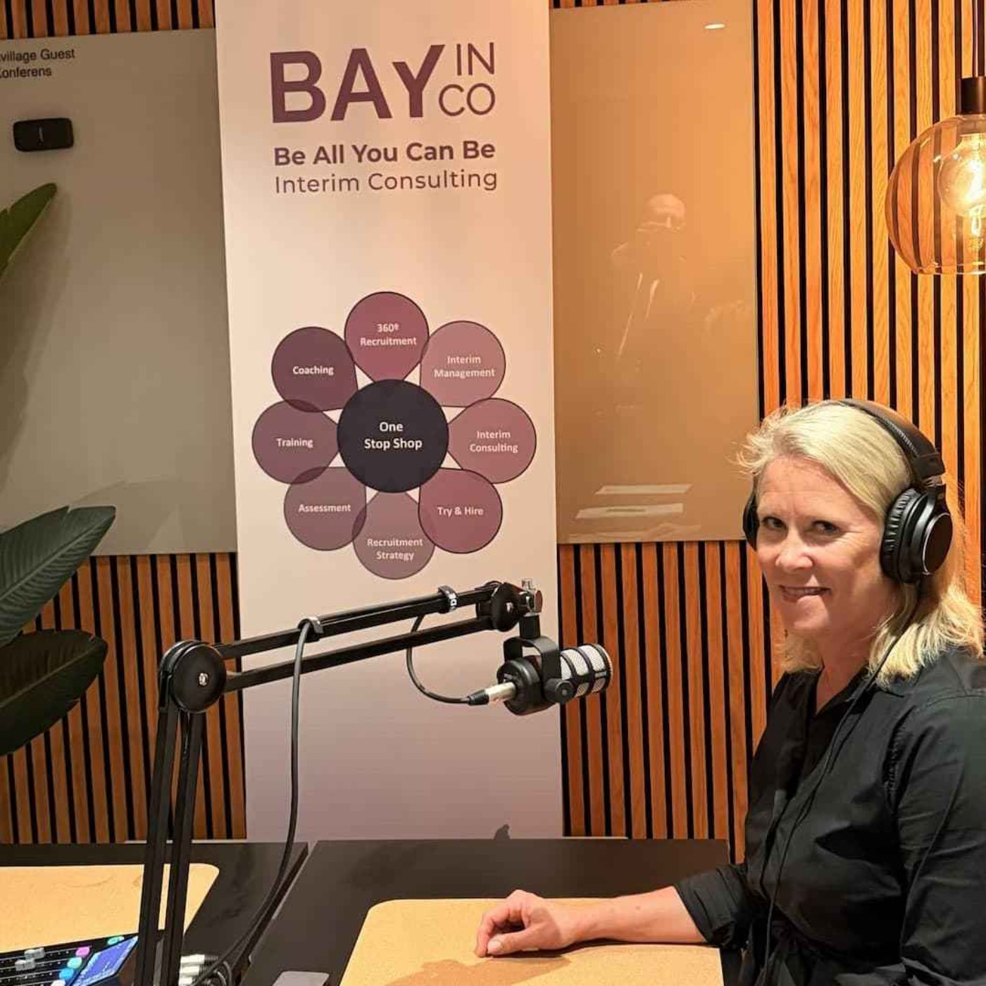 BayInCo podden